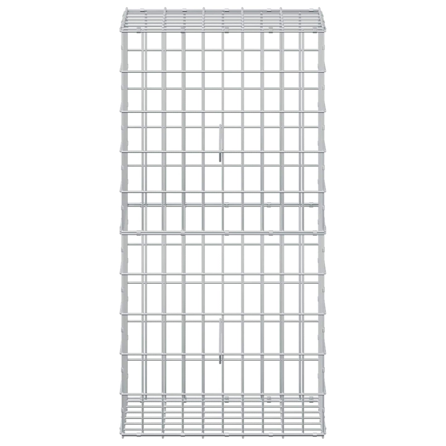 vidaXL Γκαμπιόν με σύρμα 5 mm και πλέγμα 5x10 cm 50x30x100 εκ