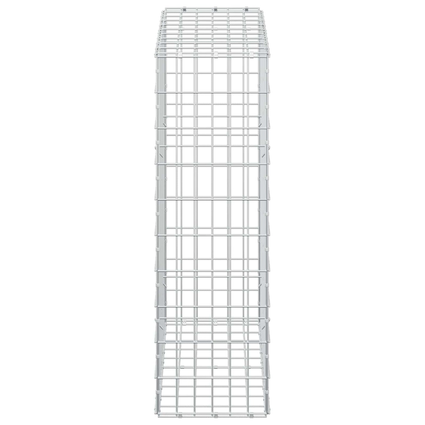 vidaXL Γκαμπιόν με σύρμα 5 mm και πλέγμα 5x10 cm 100x30x100 εκ