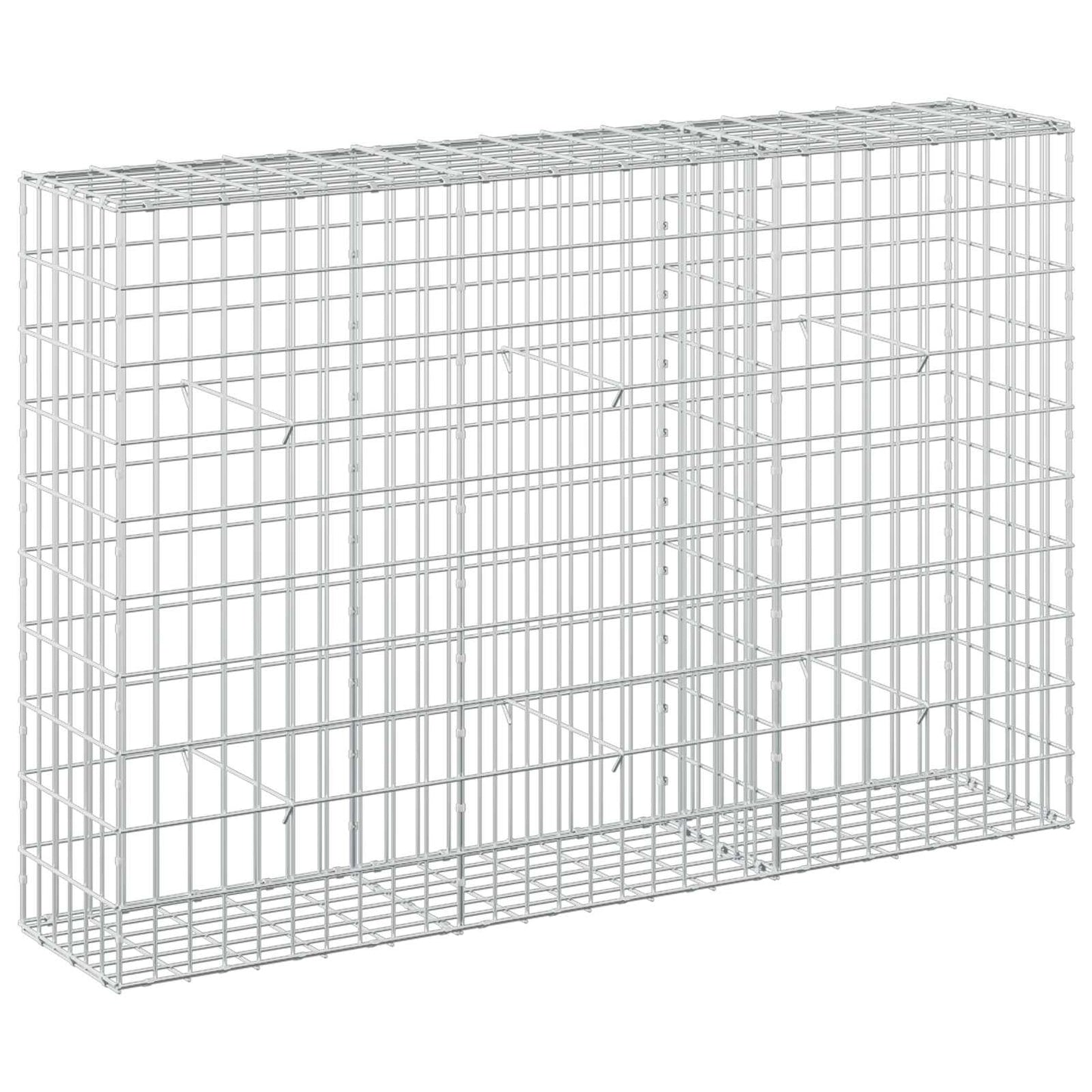 vidaXL Γκαμπιόν με σύρμα 5 mm και πλέγμα 5x10 cm 150x30x100 εκ