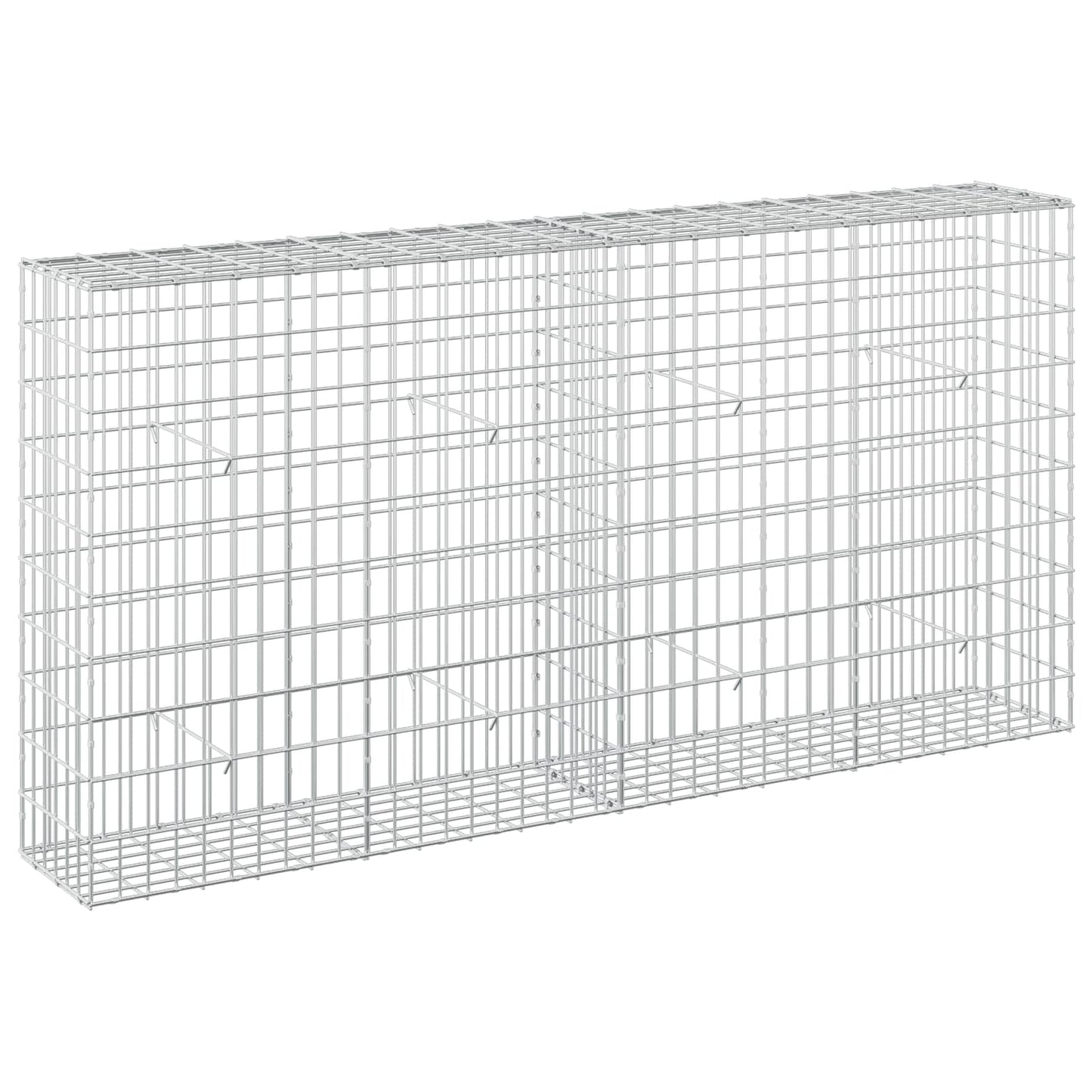 vidaXL Γκαμπιόν με σύρμα 5 mm και πλέγμα 5x10 cm 200x30x100 εκ