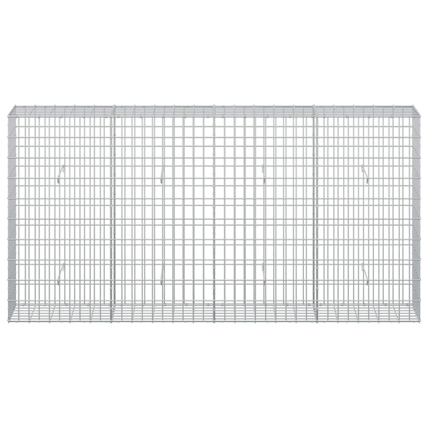 vidaXL Γκαμπιόν με σύρμα 5 mm και πλέγμα 5x10 cm 200x30x100 εκ
