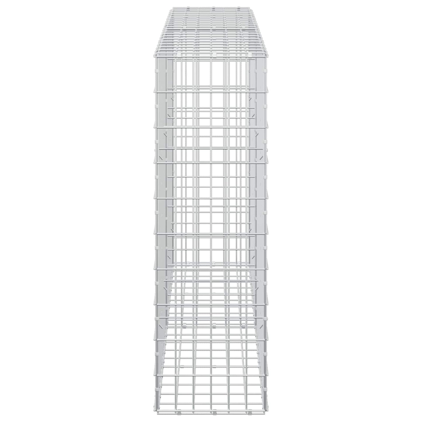 vidaXL Γκαμπιόν με σύρμα 5 mm και πλέγμα 5x10 cm 200x30x100 εκ