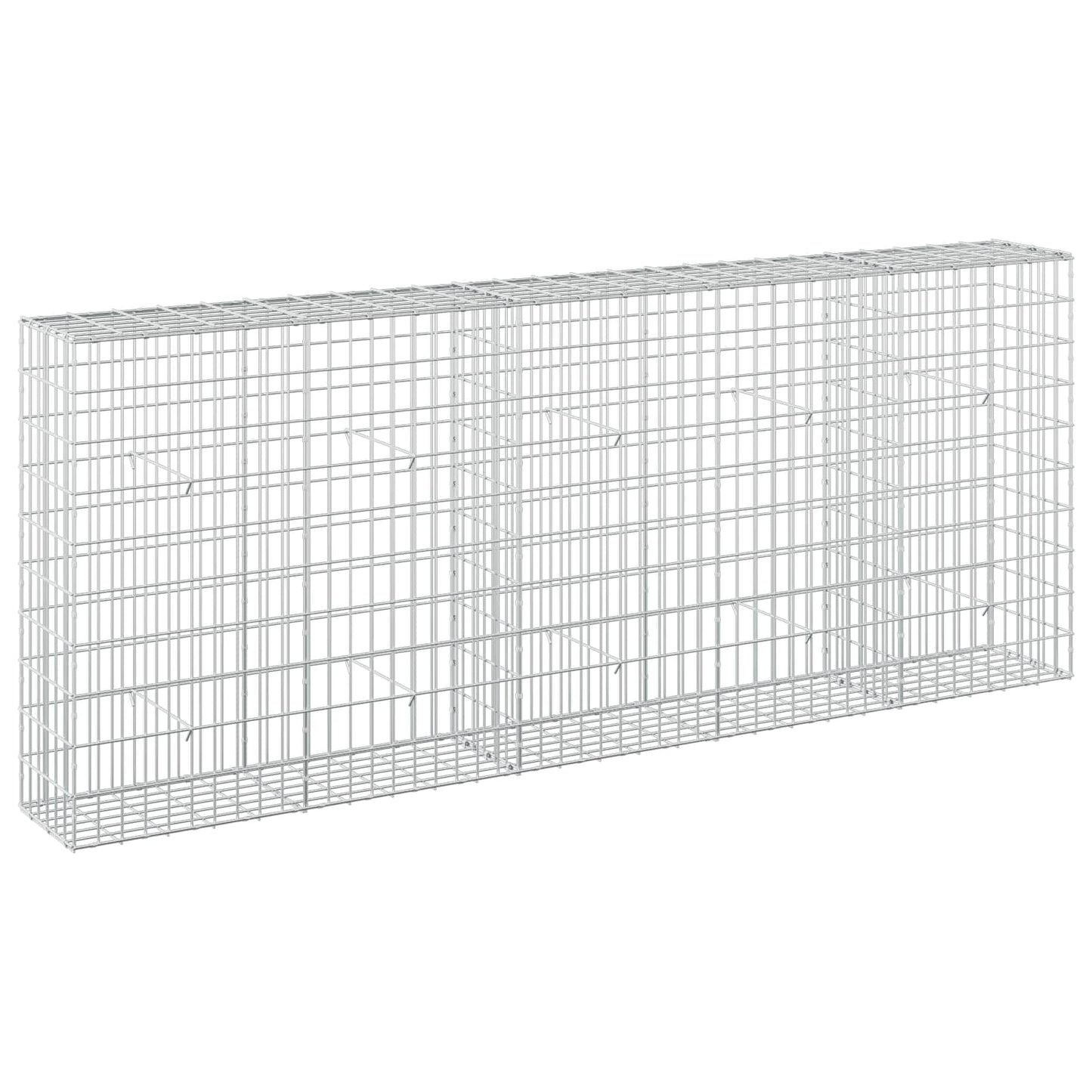 vidaXL Γκαμπιόν με σύρμα 5 mm και πλέγμα 5x10 cm 250x30x100 εκ