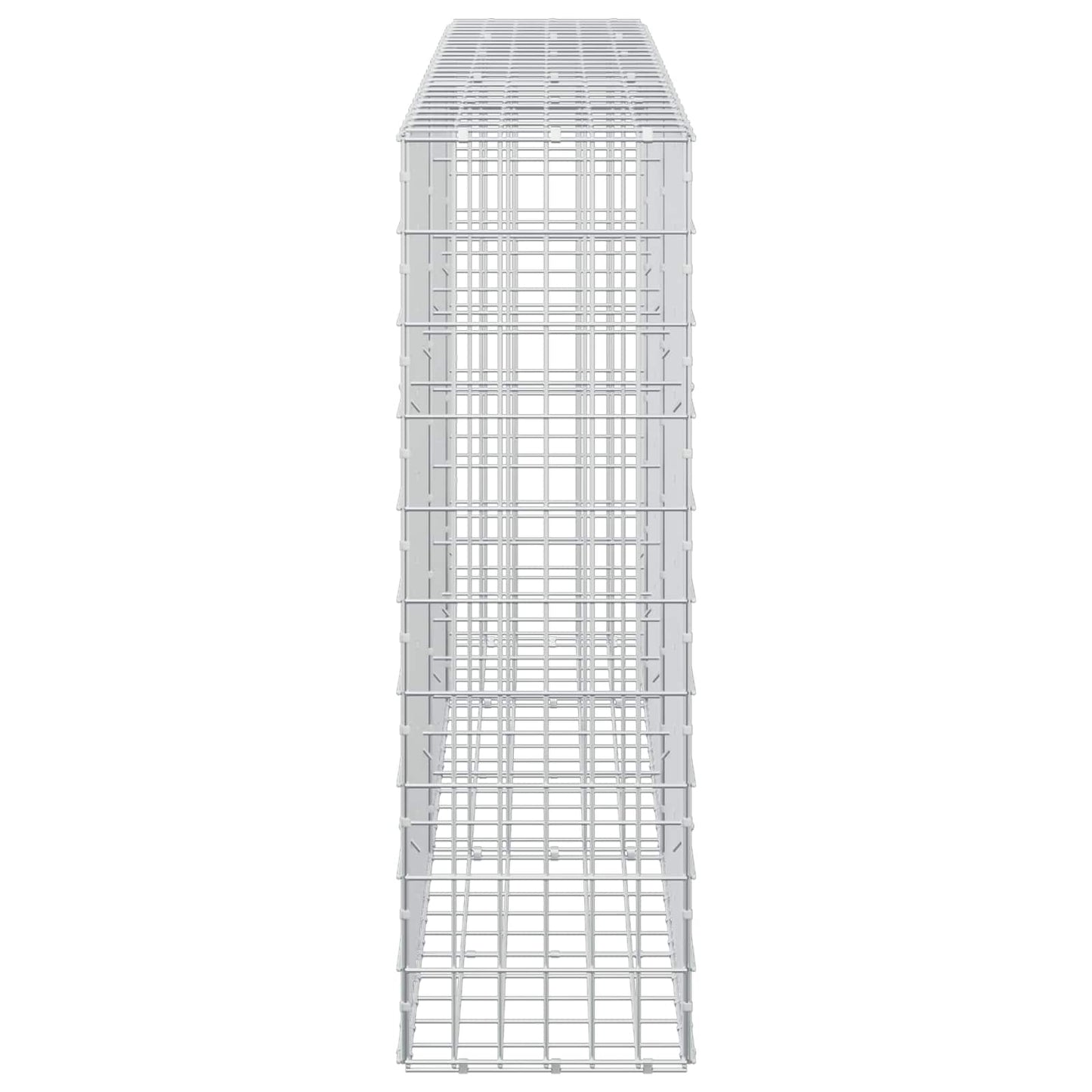 vidaXL Γκαμπιόν με σύρμα 5 mm και πλέγμα 5x10 cm 250x30x100 εκ