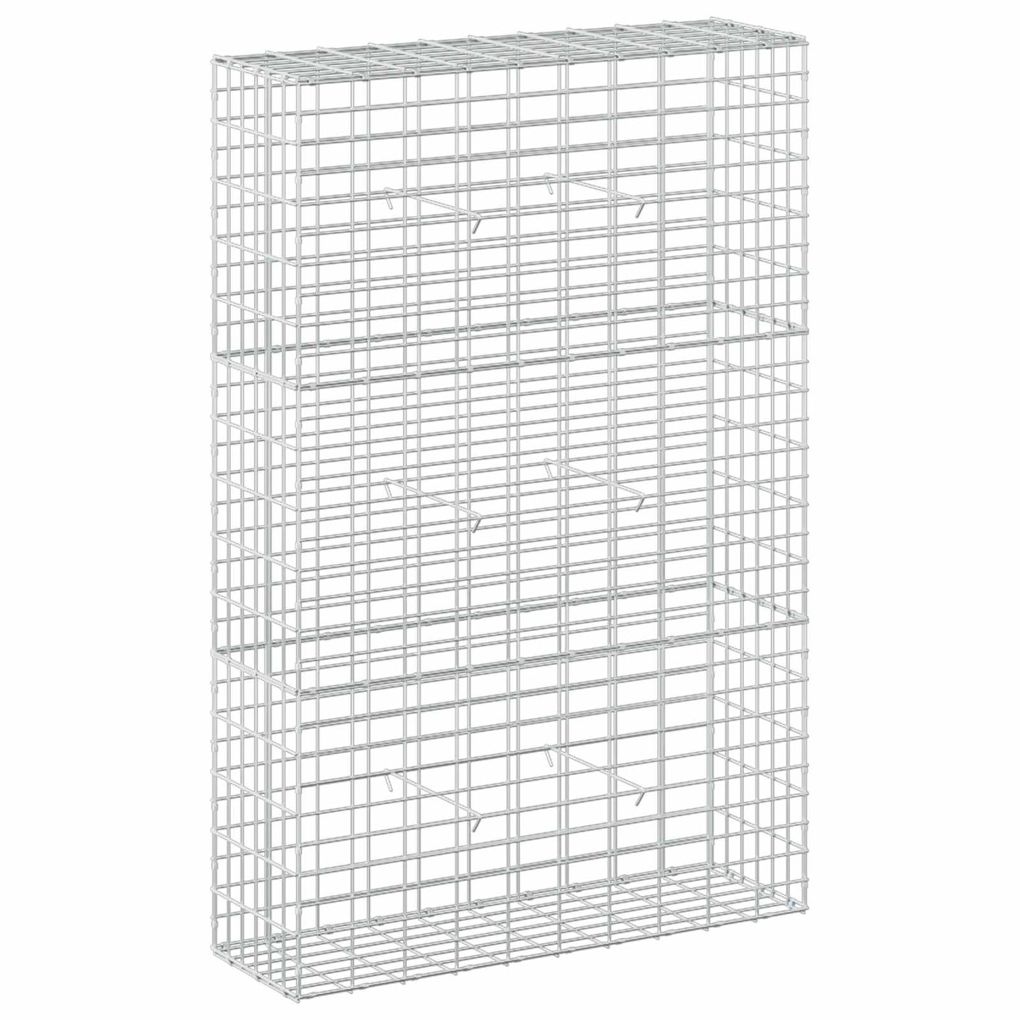 vidaXL Γκαμπιόν με σύρμα 5 mm και πλέγμα 5x10 cm 100x30x150 εκ