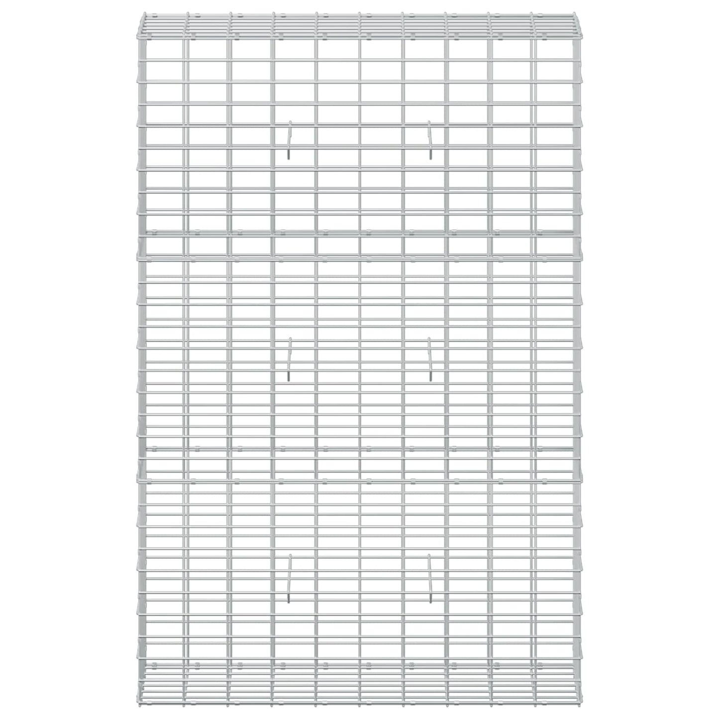 vidaXL Γκαμπιόν με σύρμα 5 mm και πλέγμα 5x10 cm 100x30x150 εκ