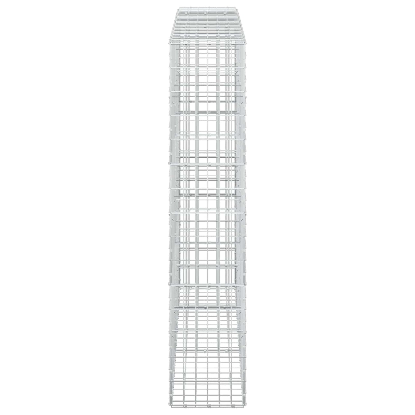 vidaXL Γκαμπιόν με σύρμα 5 mm και πλέγμα 5x10 cm 250x30x150 εκ