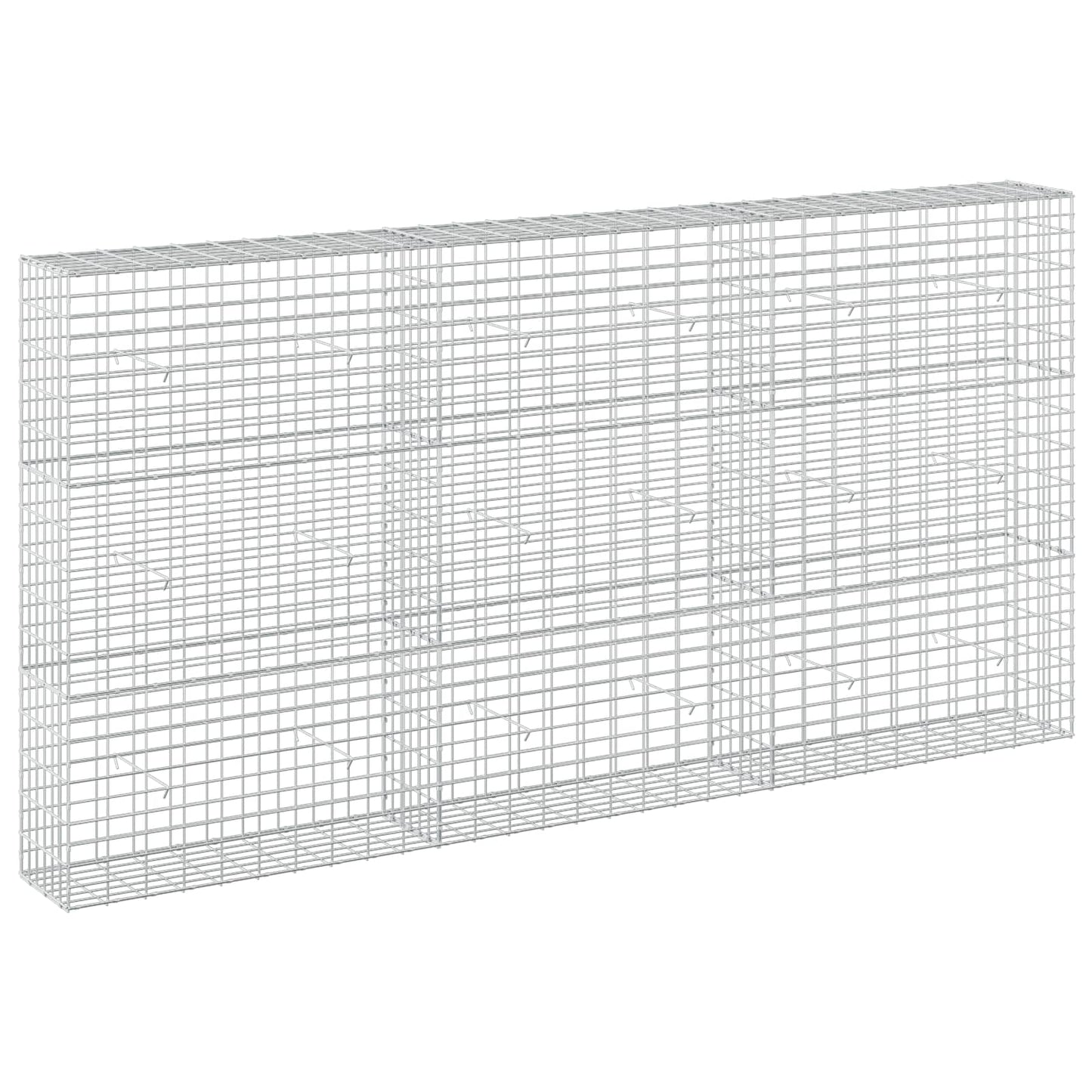 vidaXL Γκαμπιόν με σύρμα 5 mm και πλέγμα 5x10 cm 300x30x150 εκ