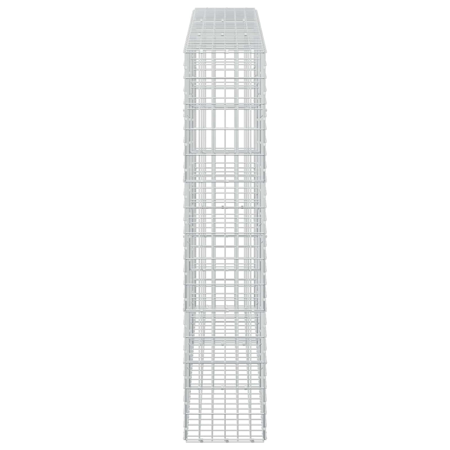 vidaXL Γκαμπιόν με σύρμα 5 mm και πλέγμα 5x10 cm 300x30x150 εκ