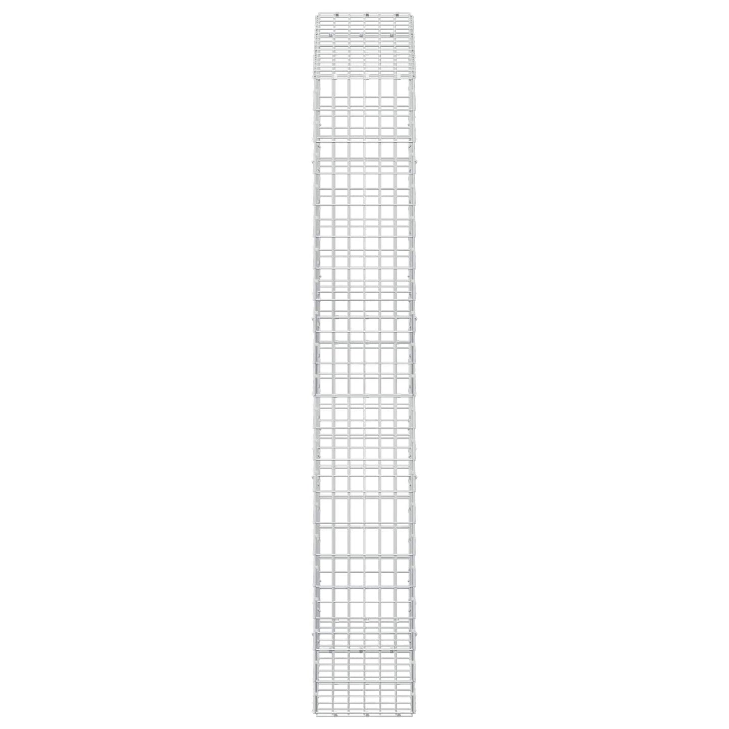 vidaXL Γκαμπιόν με σύρμα 5 mm και πλέγμα 5x10 cm 150x30x200 εκ