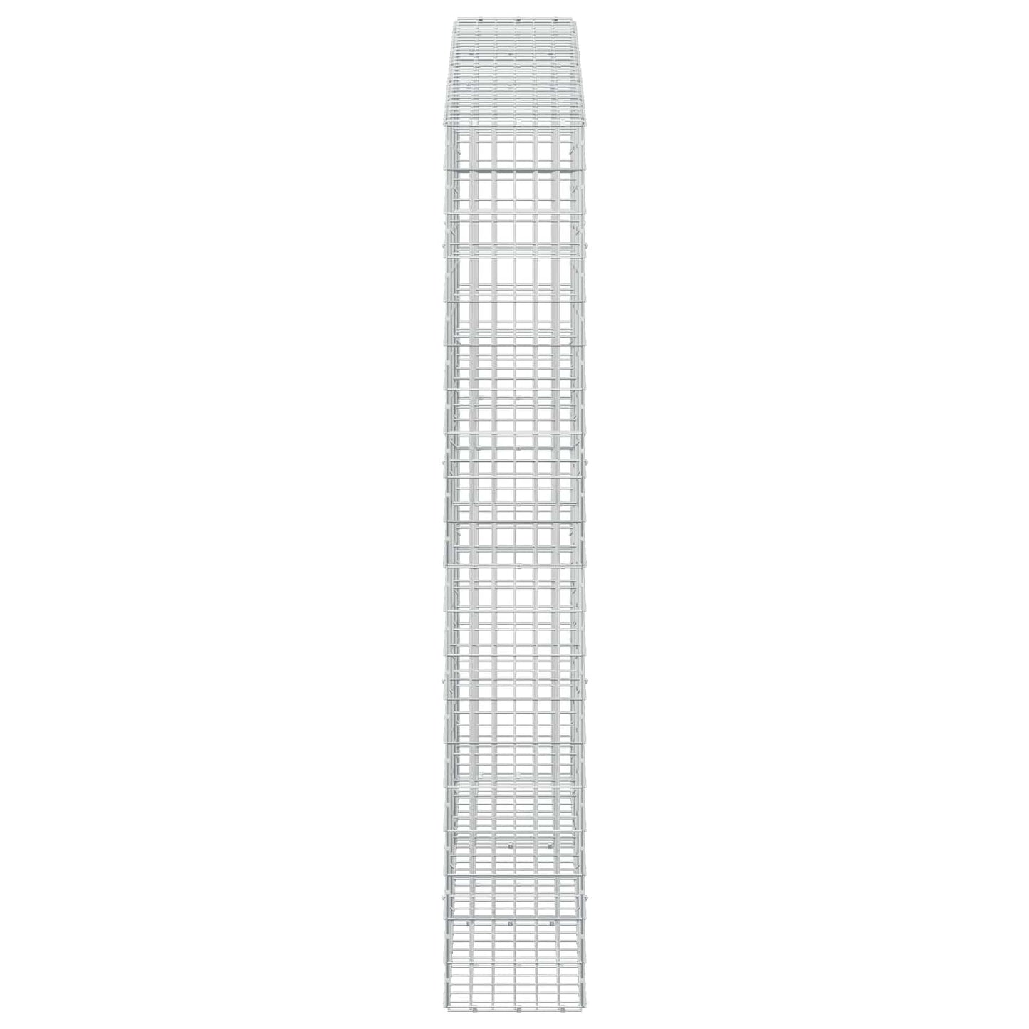 vidaXL Γκαμπιόν με σύρμα 5 mm και πλέγμα 5x10 cm 300x30x200 εκ