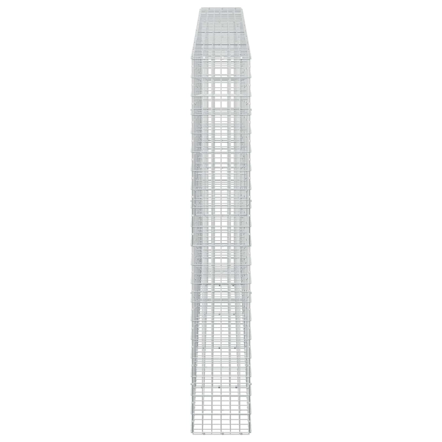 vidaXL Γκαμπιόν με σύρμα 5 mm και πλέγμα 5x10 cm 450x30x200 εκ
