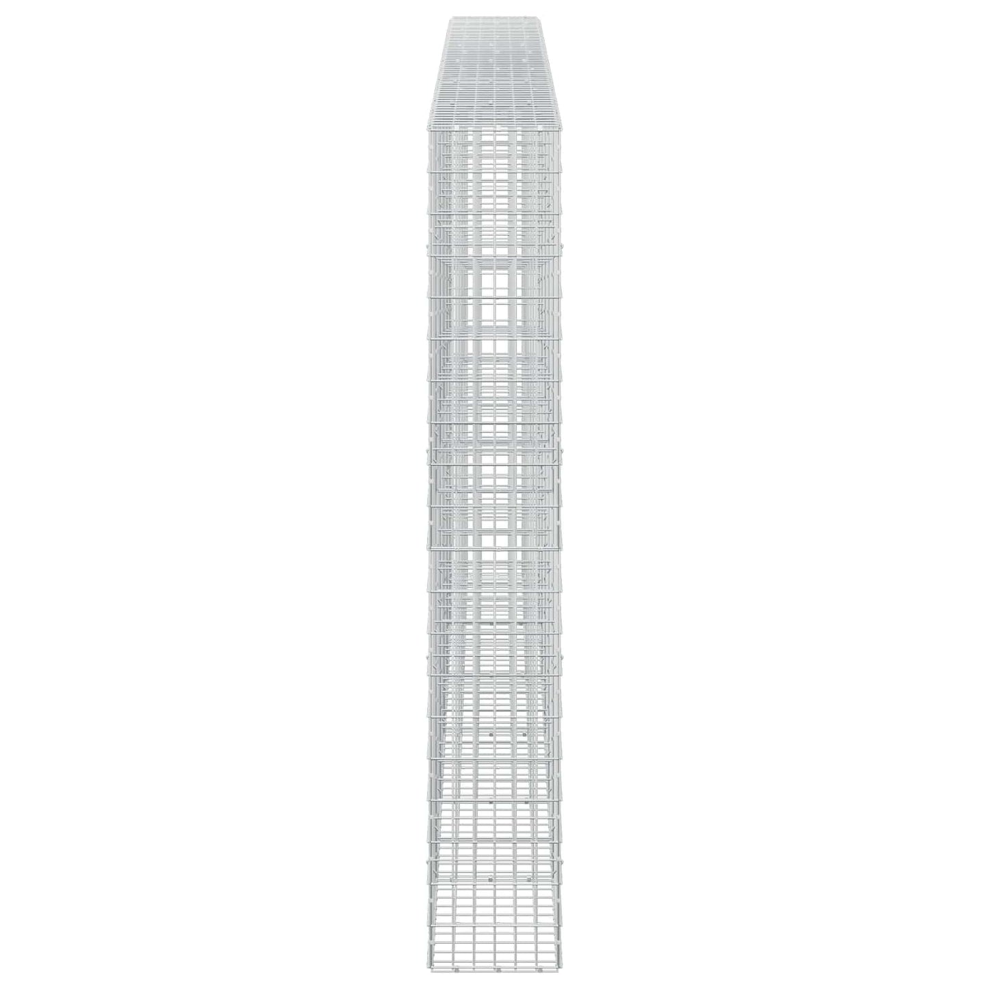 vidaXL Γκαμπιόν με σύρμα 5 mm και πλέγμα 5x10 cm 600x30x200 εκ