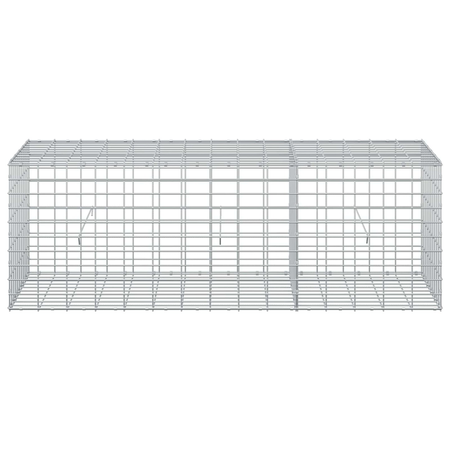 vidaXL Γκαμπιόν με σύρμα 5 mm και πλέγμα 5x10 cm 150x50x50 εκ.