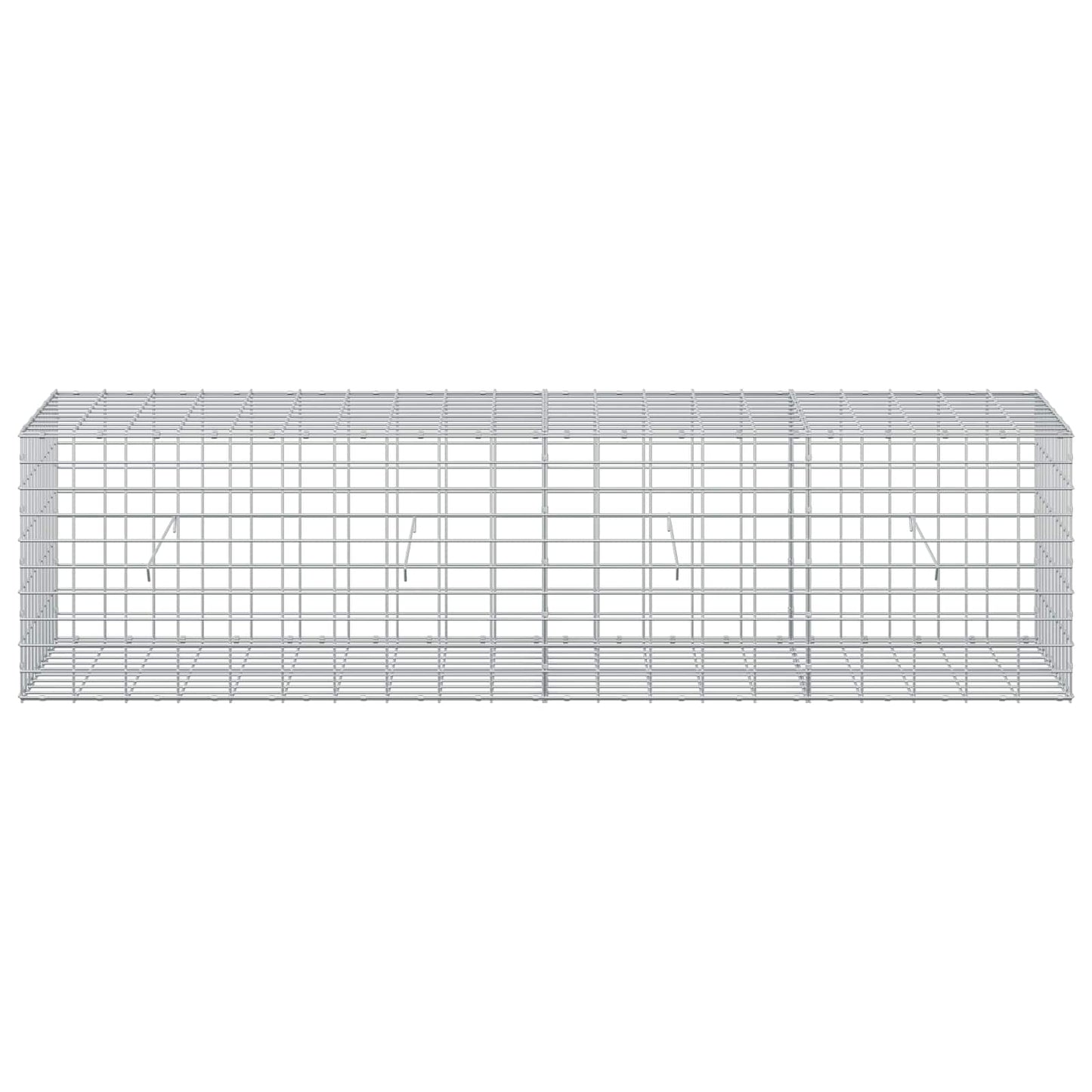 vidaXL Γκαμπιόν με σύρμα 5 mm και πλέγμα 5x10 cm 200x50x50 εκ