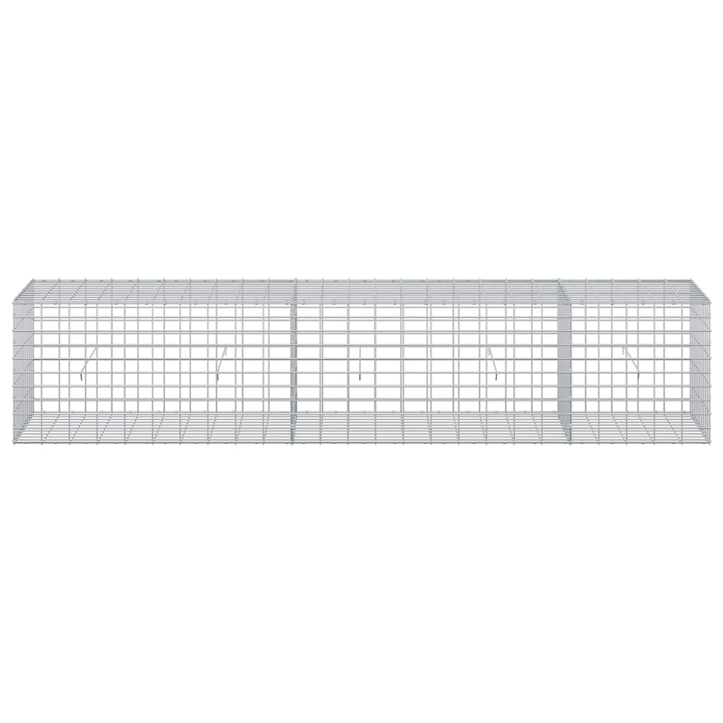 vidaXL Γκαμπιόν με σύρμα 5 mm και πλέγμα 5x10 cm 250x50x50 εκ