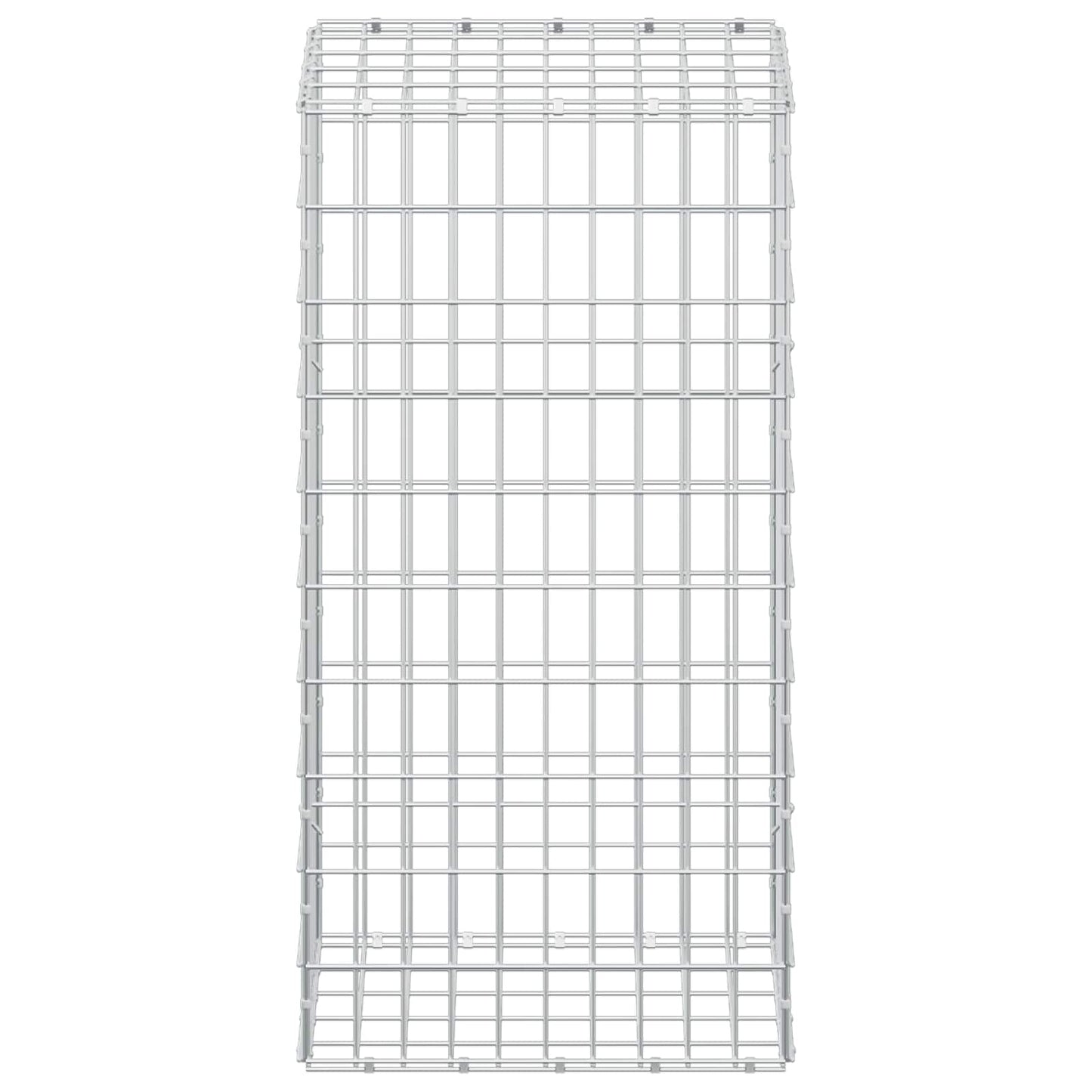 vidaXL Γκαμπιόν με σύρμα 5 mm και πλέγμα 5x10 cm 50x50x100 εκ
