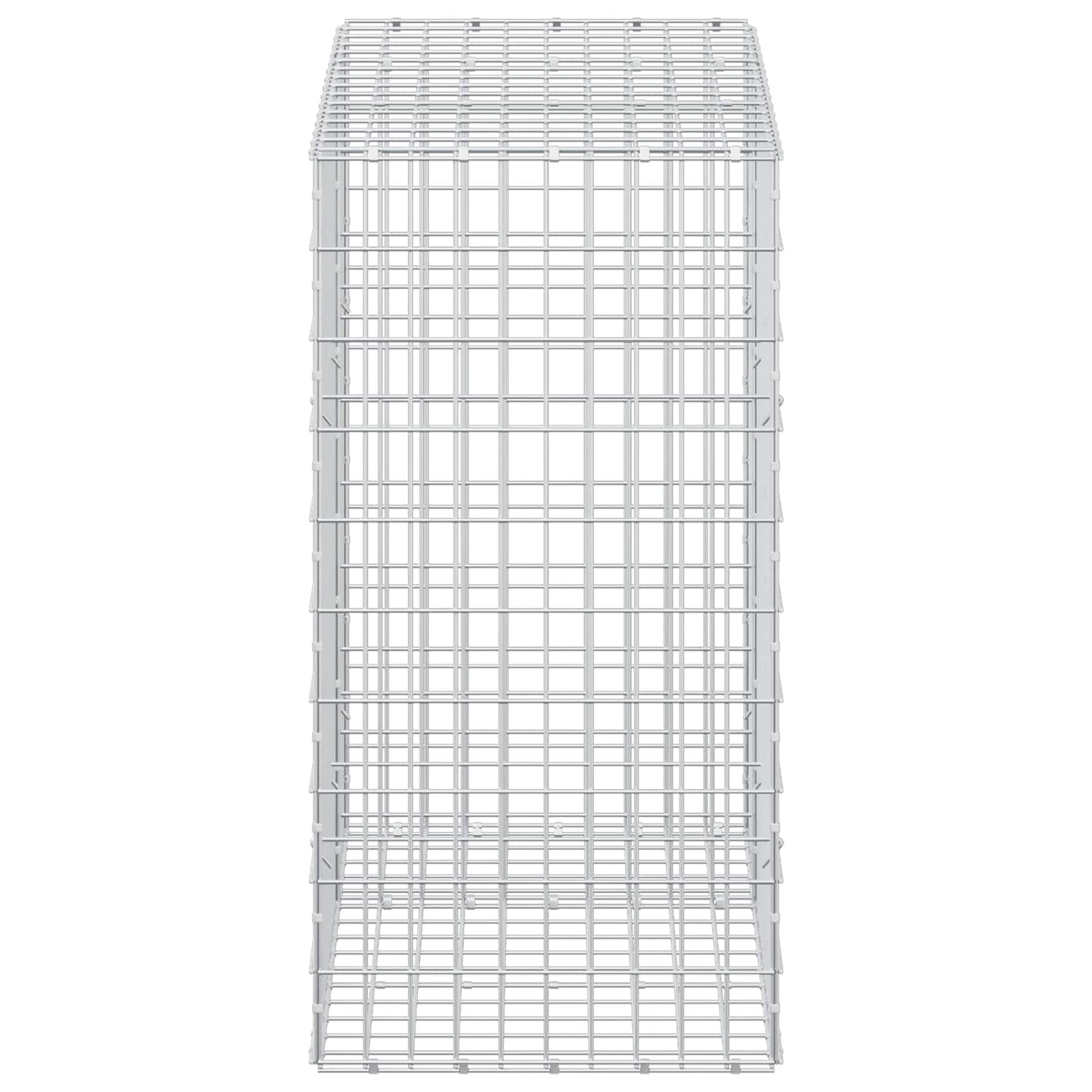 vidaXL Γκαμπιόν με σύρμα 5 mm και πλέγμα 5x10 cm 150x50x100 εκ.