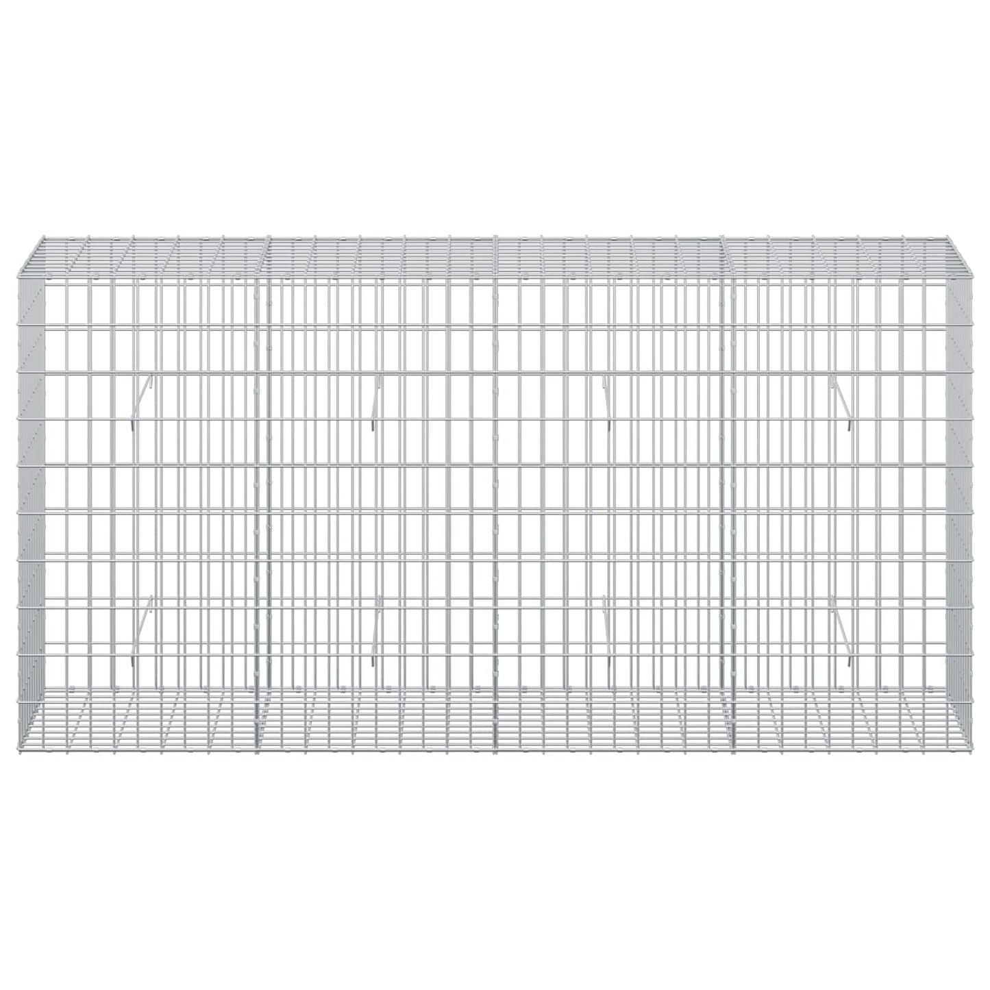 vidaXL Γκαμπιόν με σύρμα 5 mm και πλέγμα 5x10 cm 200x50x100 εκ