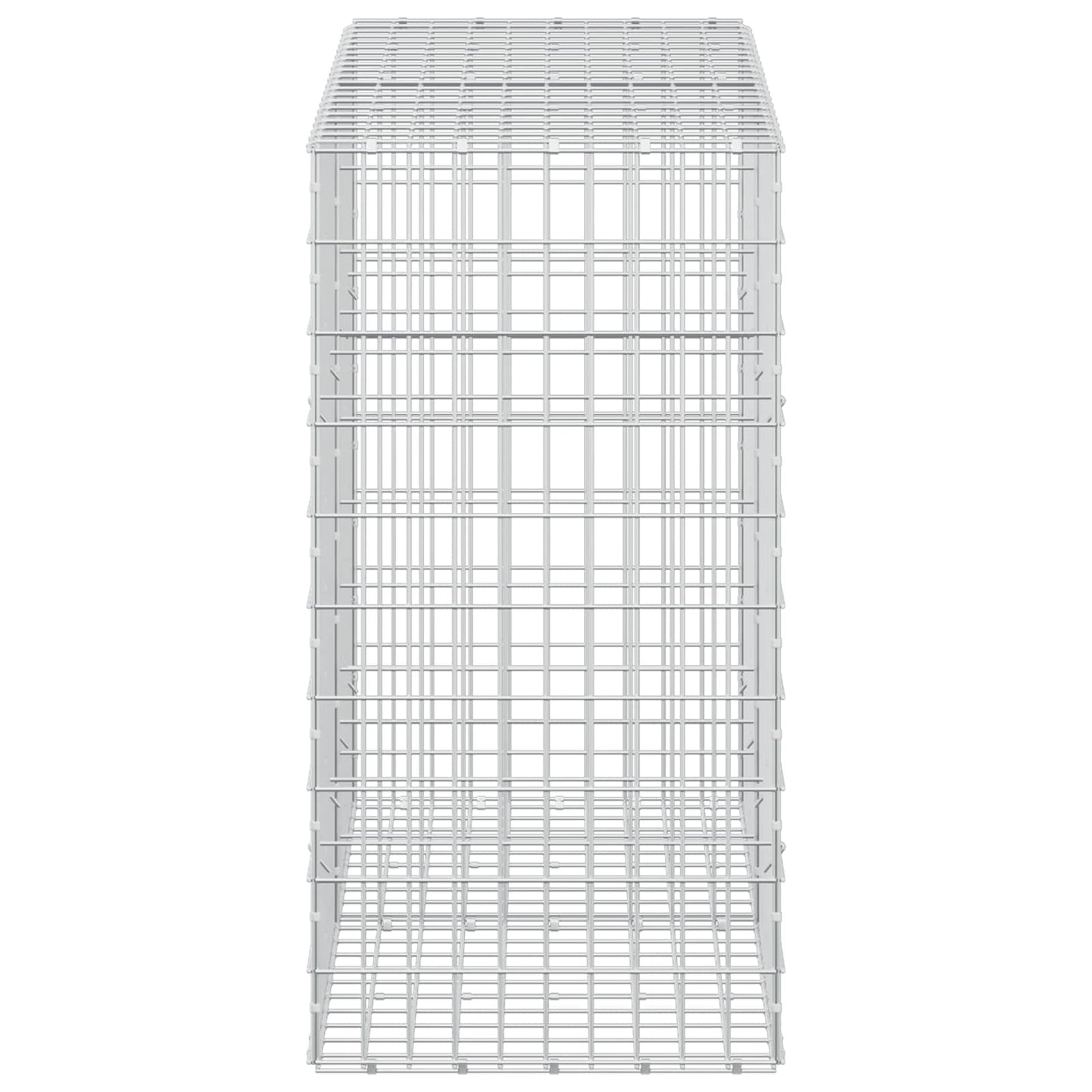 vidaXL Γκαμπιόν με σύρμα 5 mm και πλέγμα 5x10 cm 200x50x100 εκ