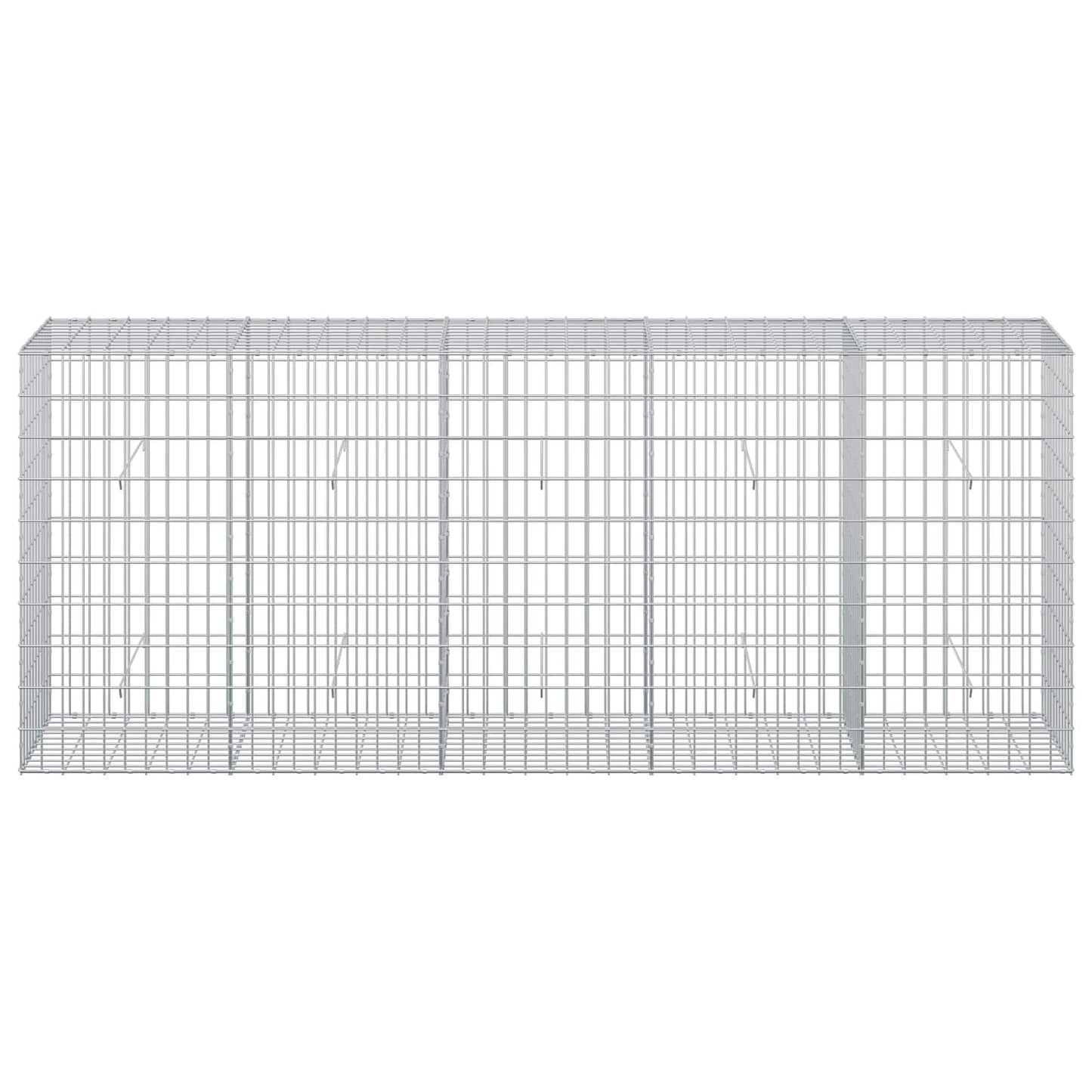 vidaXL Γκαμπιόν με σύρμα 5 mm και πλέγμα 5x10 cm 250x50x100 εκ