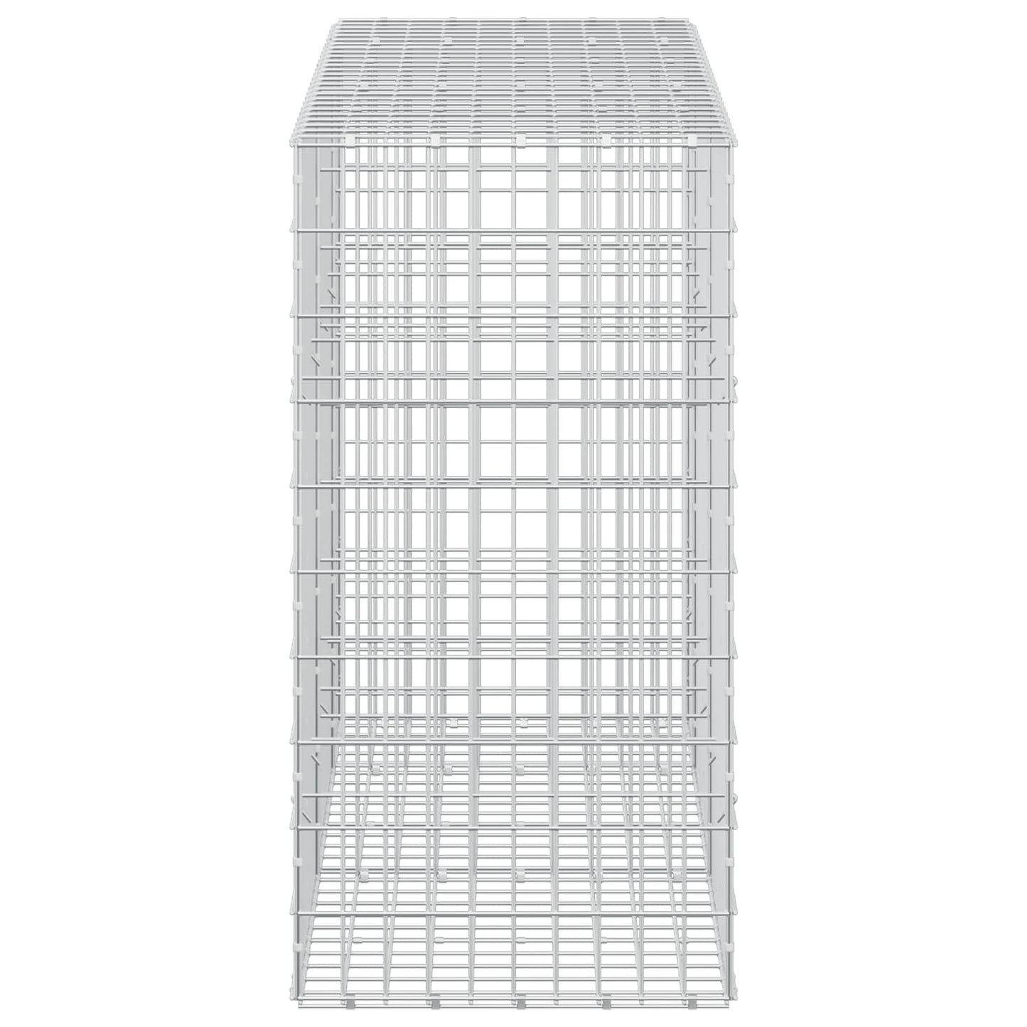 vidaXL Γκαμπιόν με σύρμα 5 mm και πλέγμα 5x10 cm 250x50x100 εκ