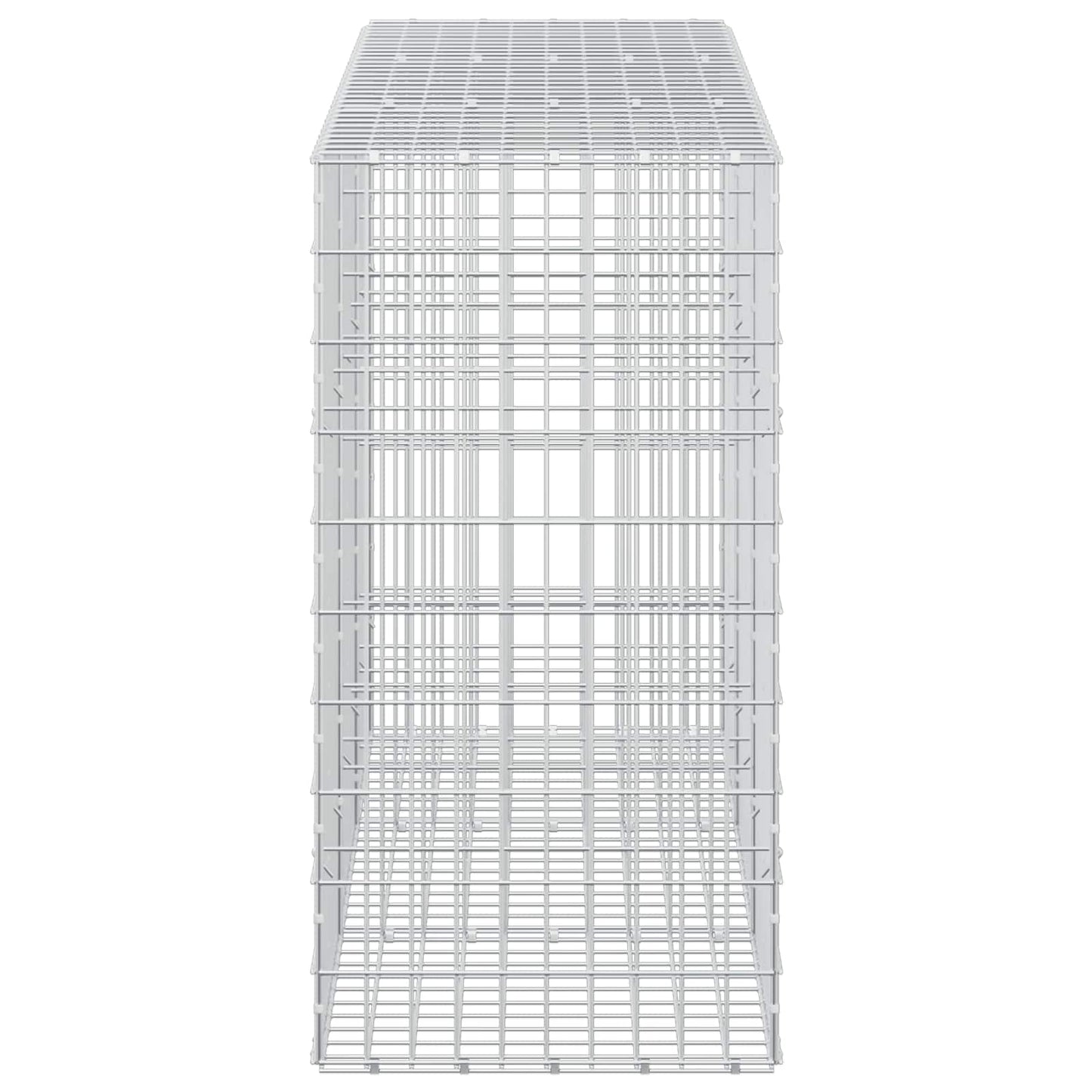 vidaXL Γκαμπιόν με σύρμα 5 mm και πλέγμα 5x10 cm 300x50x100 εκ