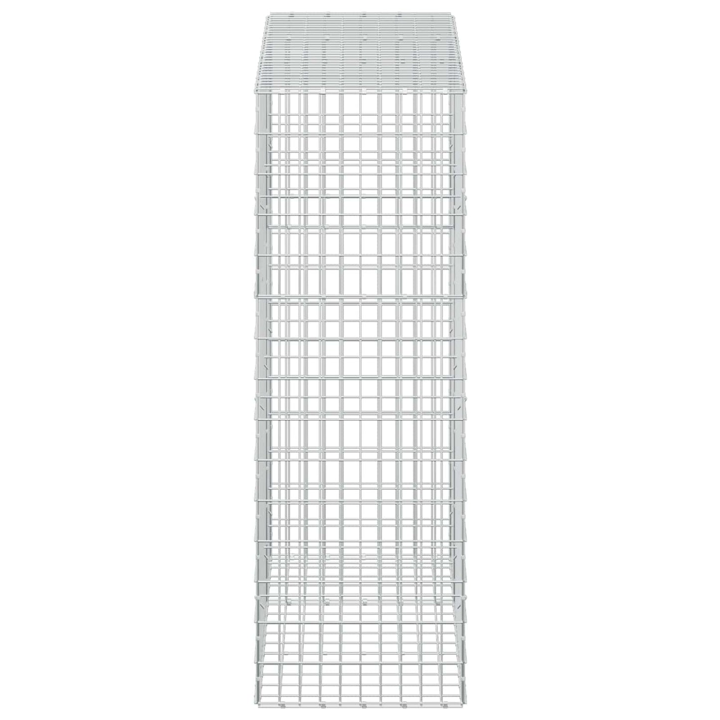 vidaXL Γκαμπιόν με σύρμα 5 mm και πλέγμα 5x10 cm 150x50x150 εκ