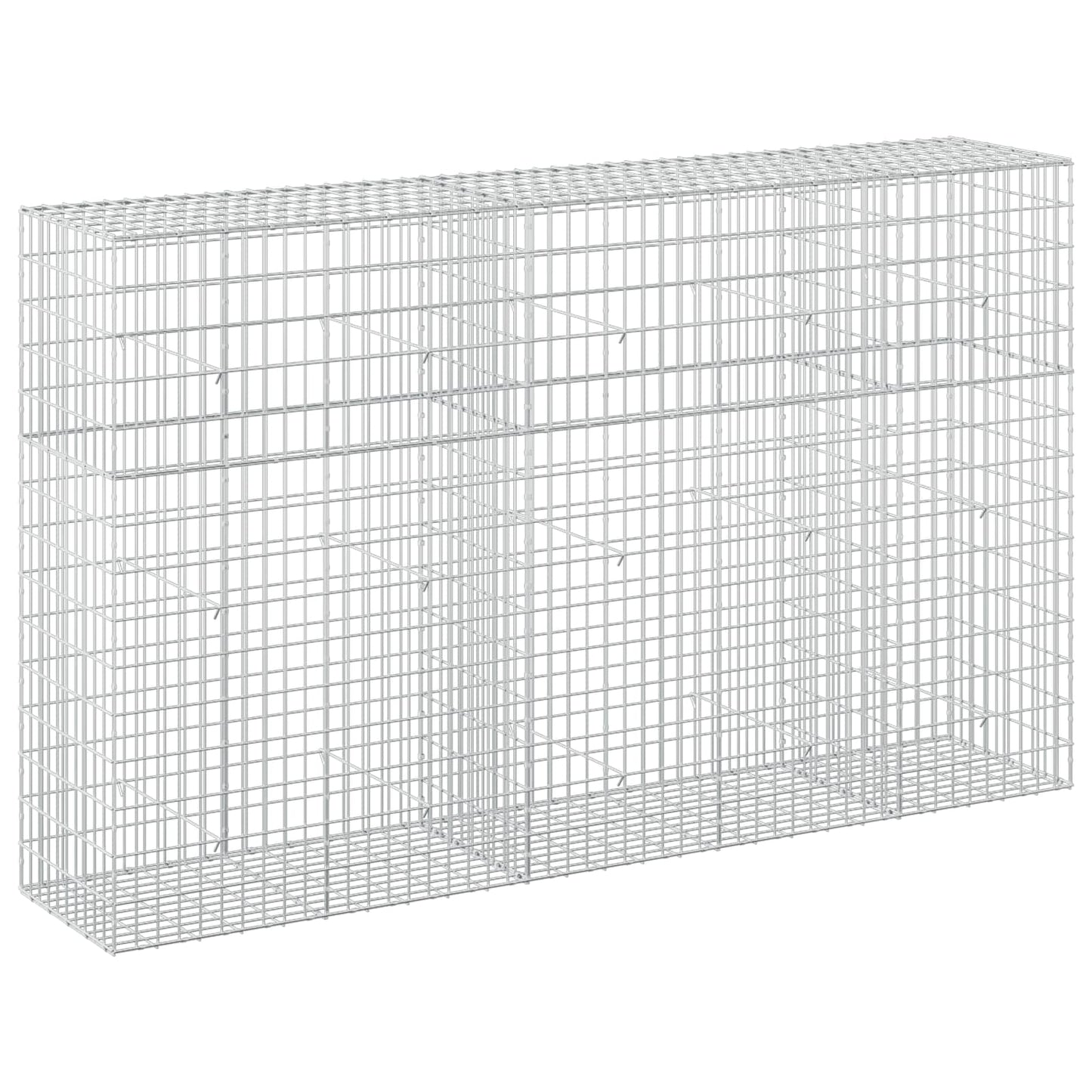 vidaXL Γκαμπιόν με σύρμα 5 mm και πλέγμα 5x10 cm 250x50x150 εκ