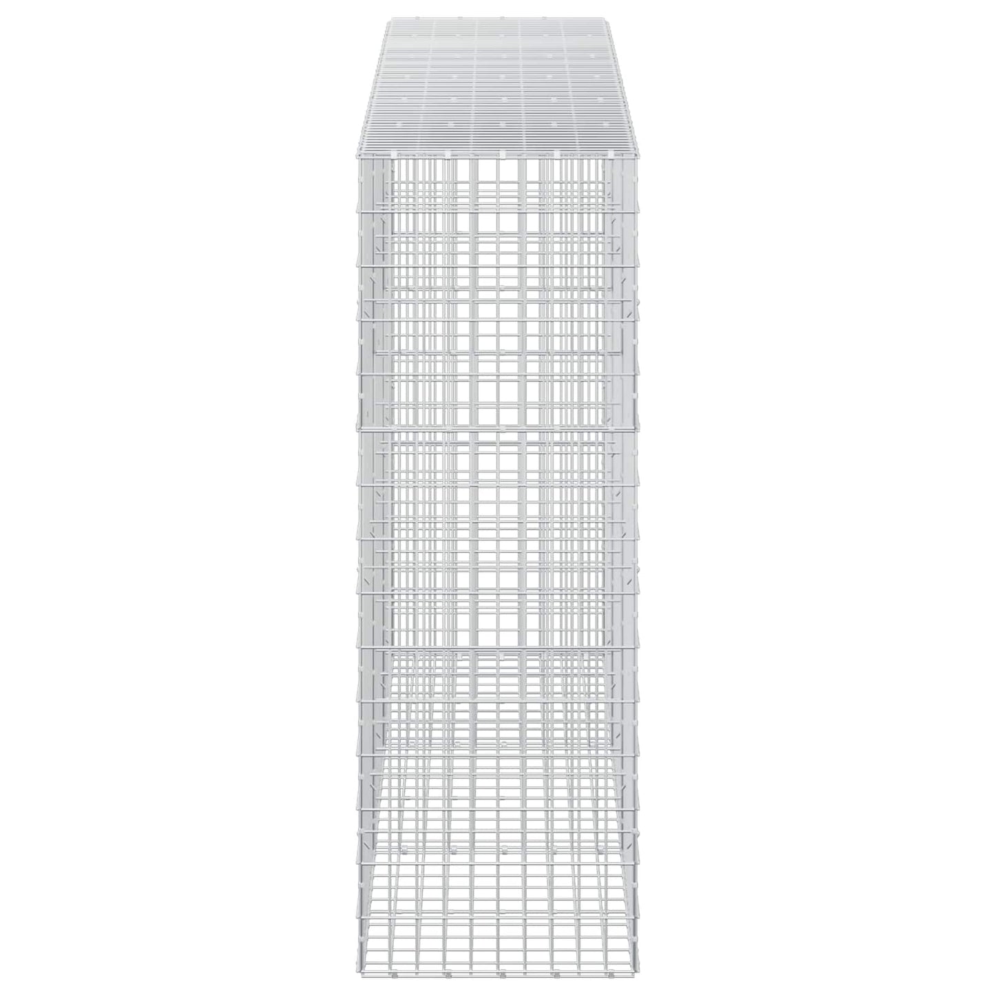 vidaXL Γκαμπιόν με σύρμα 5 mm και πλέγμα 5x10 cm 300x50x150 εκ.