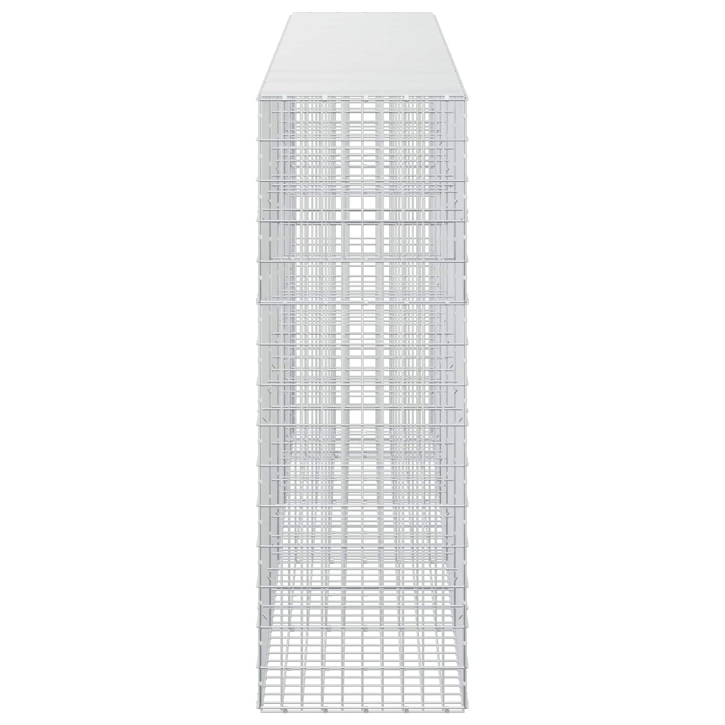 vidaXL Γκαμπιόν με σύρμα 5 mm και πλέγμα 5x10 cm 450x50x150 εκ