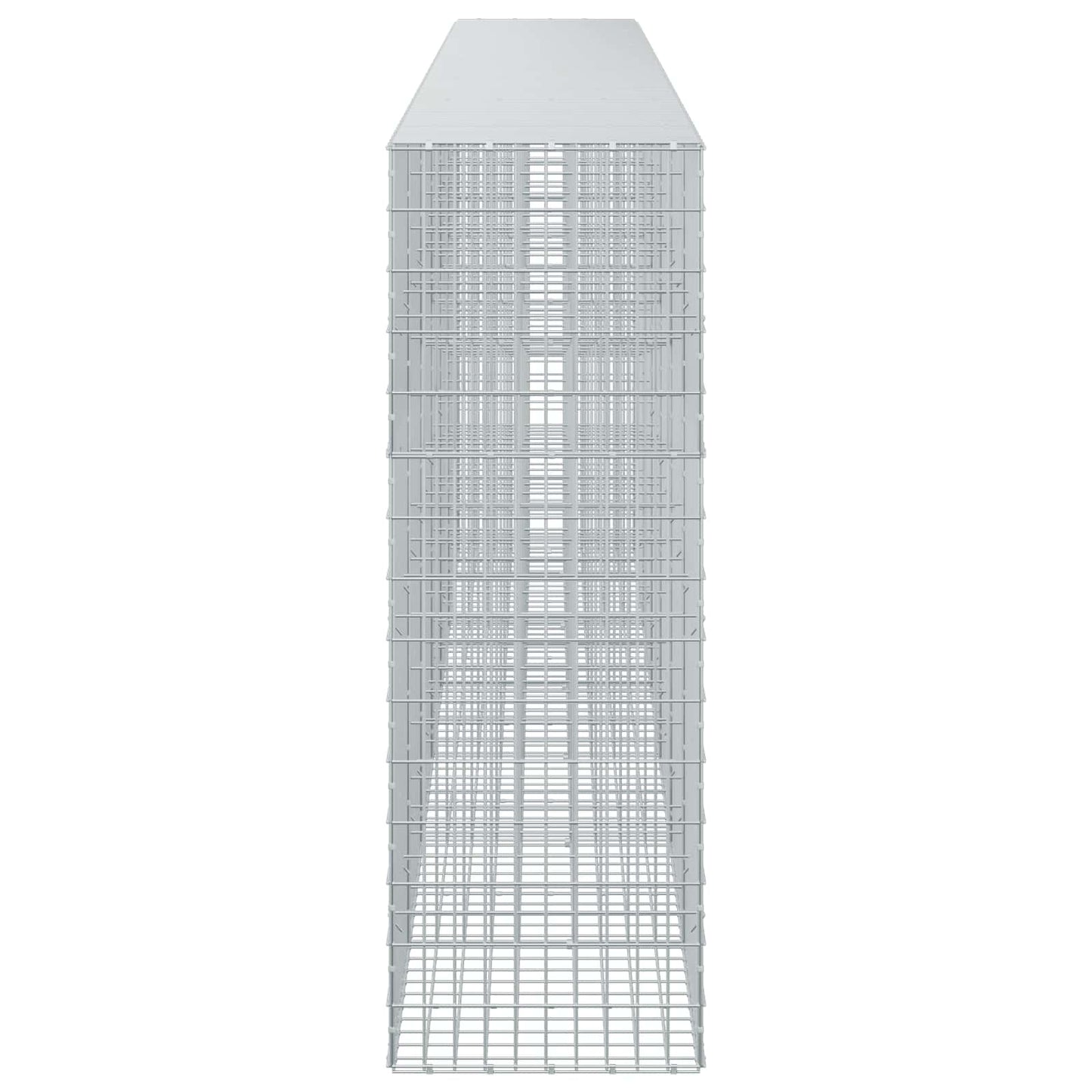 vidaXL Γκαμπιόν με σύρμα 5 mm και πλέγμα 5x10 cm 650x50x150 εκ