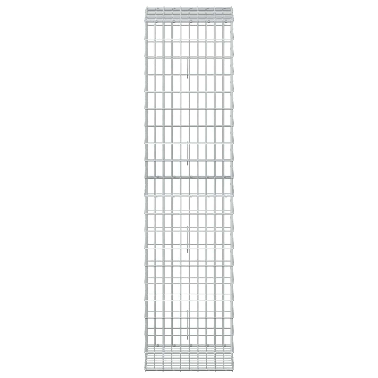 vidaXL Γκαμπιόν με σύρμα 5 mm και πλέγμα 5x10 cm 50x50x200 εκ