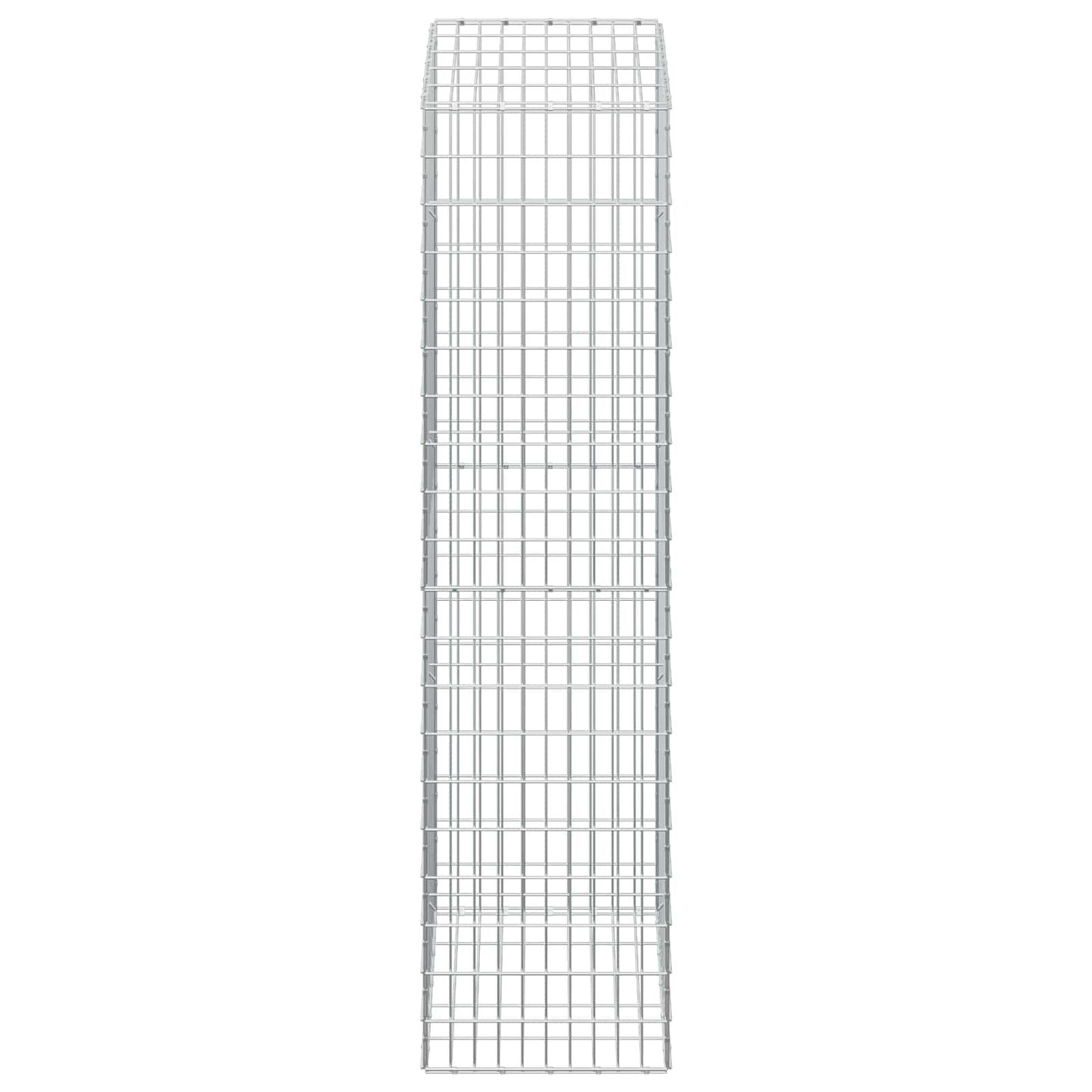 vidaXL Γκαμπιόν με σύρμα 5 mm και πλέγμα 5x10 cm 50x50x200 εκ