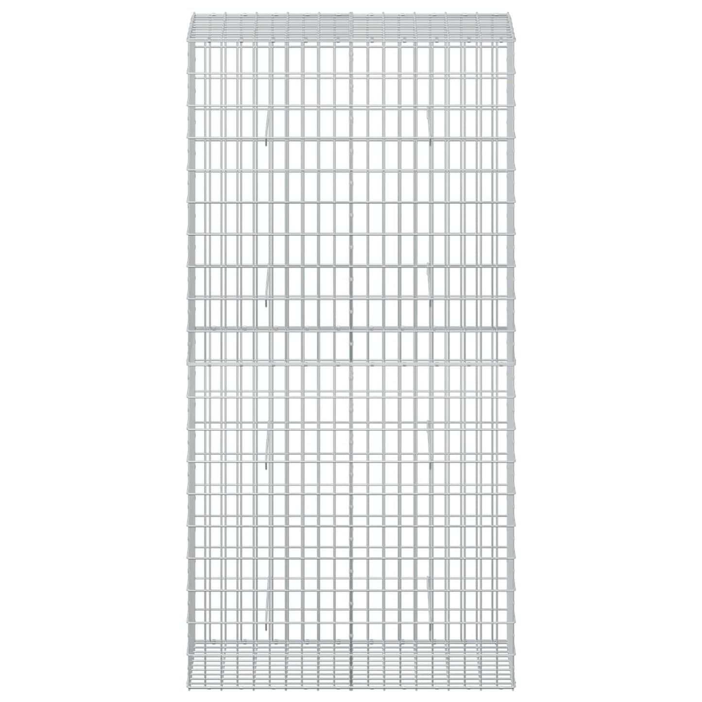 vidaXL Γκαμπιόν με σύρμα 5 mm και πλέγμα 5x10 cm 100x50x200 cm