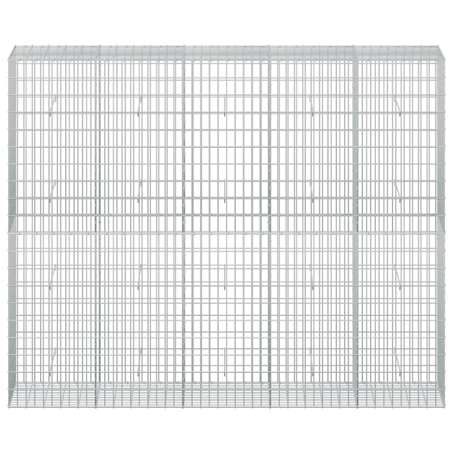 vidaXL Γκαμπιόν με σύρμα 5 mm και πλέγμα 5x10 cm 250x50x200 εκ.