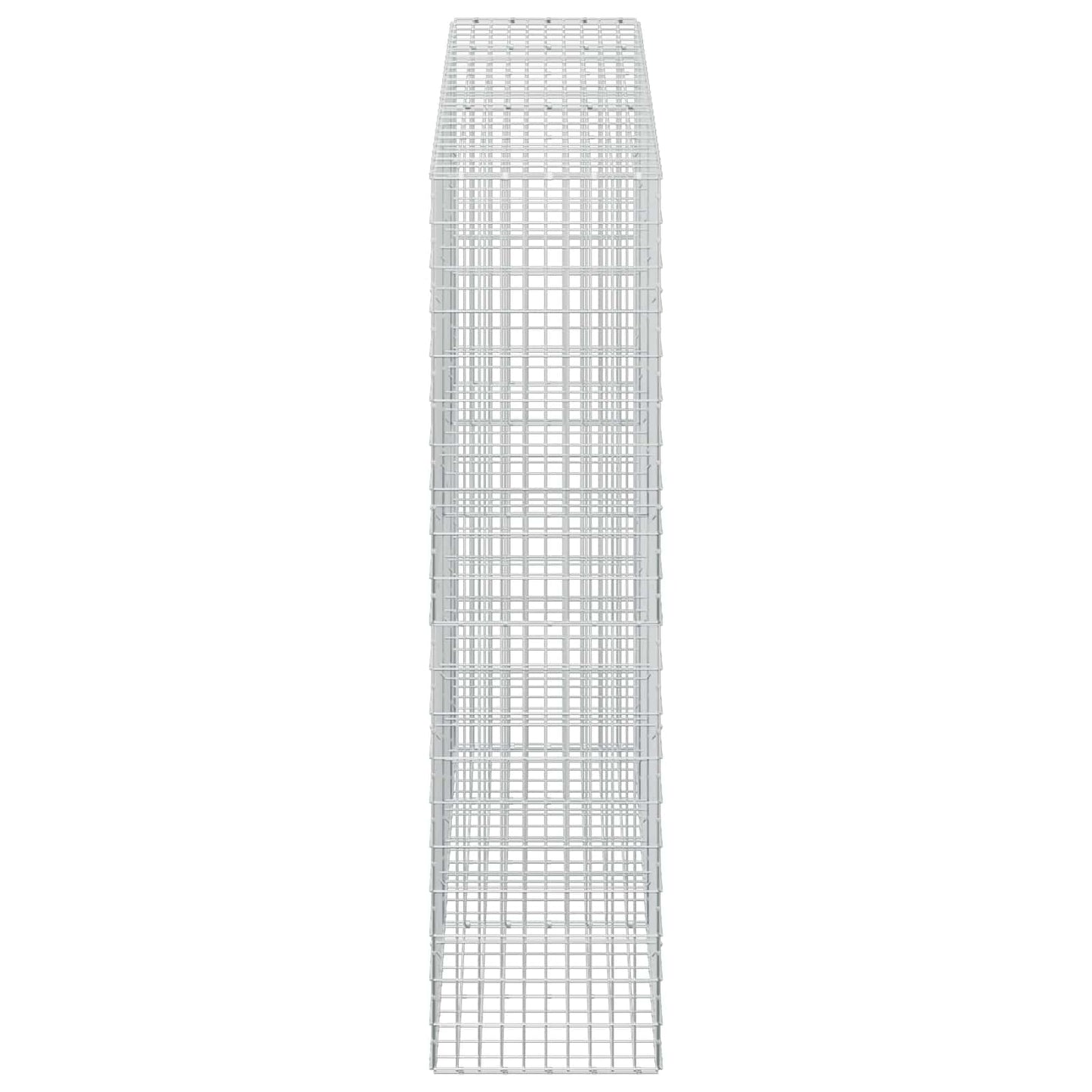 vidaXL Γκαμπιόν με σύρμα 5 mm και πλέγμα 5x10 cm 250x50x200 εκ.