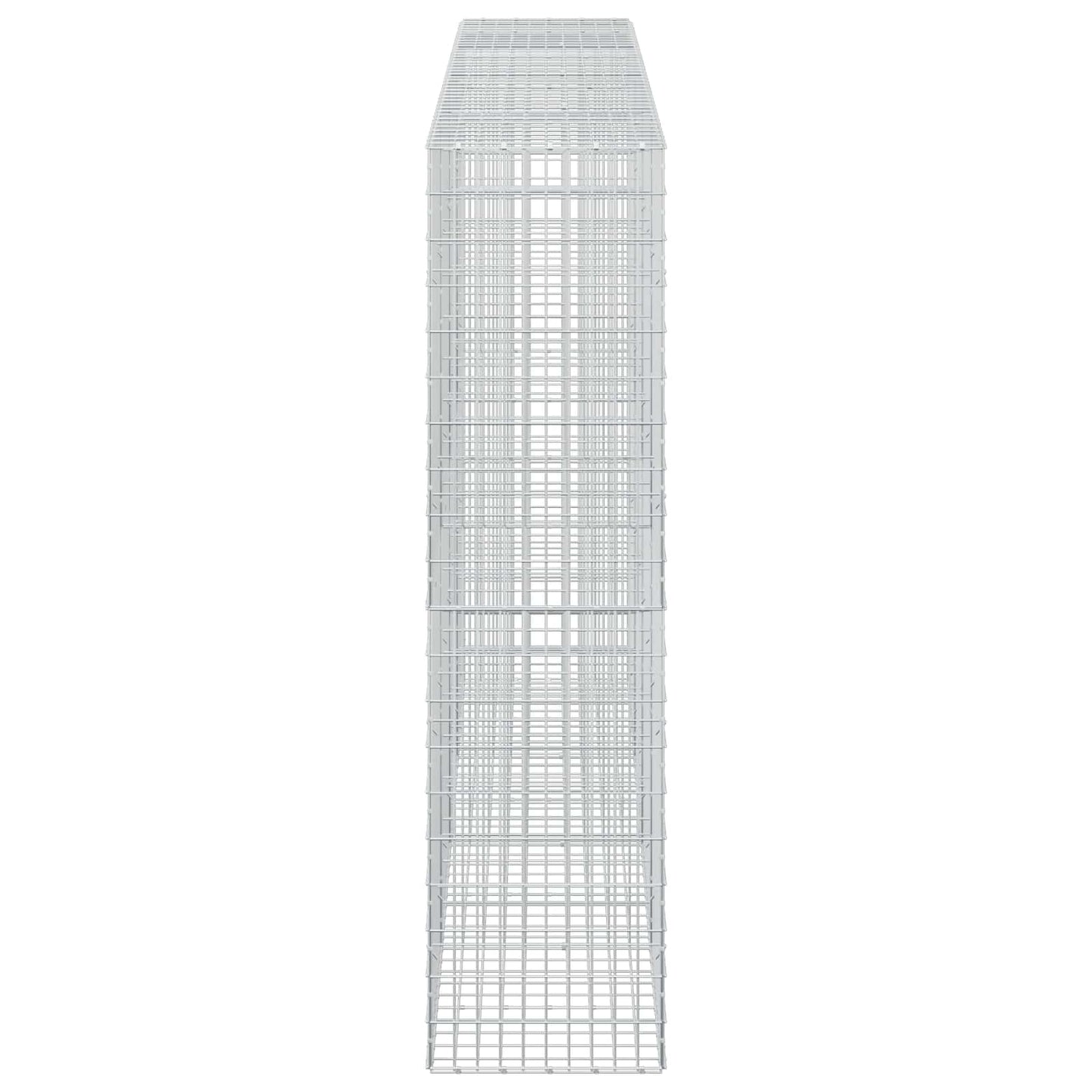 vidaXL Γκαμπιόν με σύρμα 5 mm και πλέγμα 5x10 cm 400x50x200 εκ