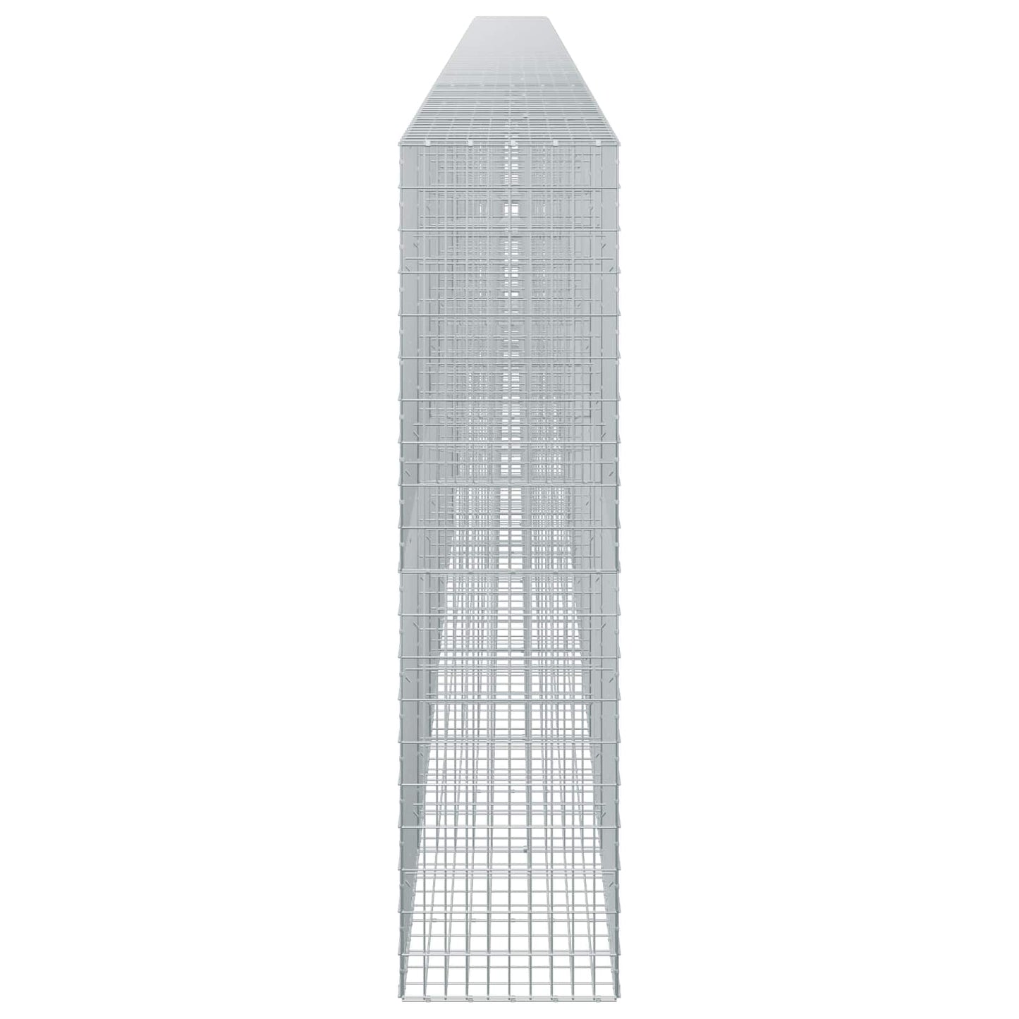 vidaXL Γκαμπιόν με σύρμα 5 mm και πλέγμα 5x10 cm 1200x50x200 εκ