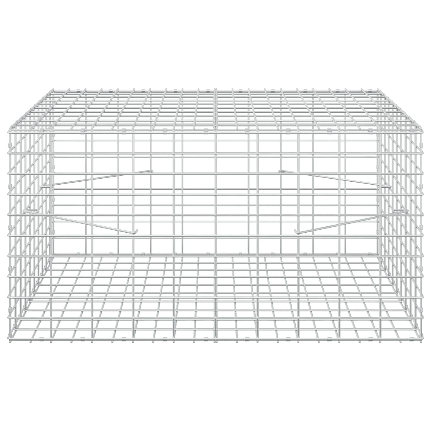 vidaXL Γκαμπιόν με σύρμα 5 mm και πλέγμα 5x10 cm 100x100x50 εκ