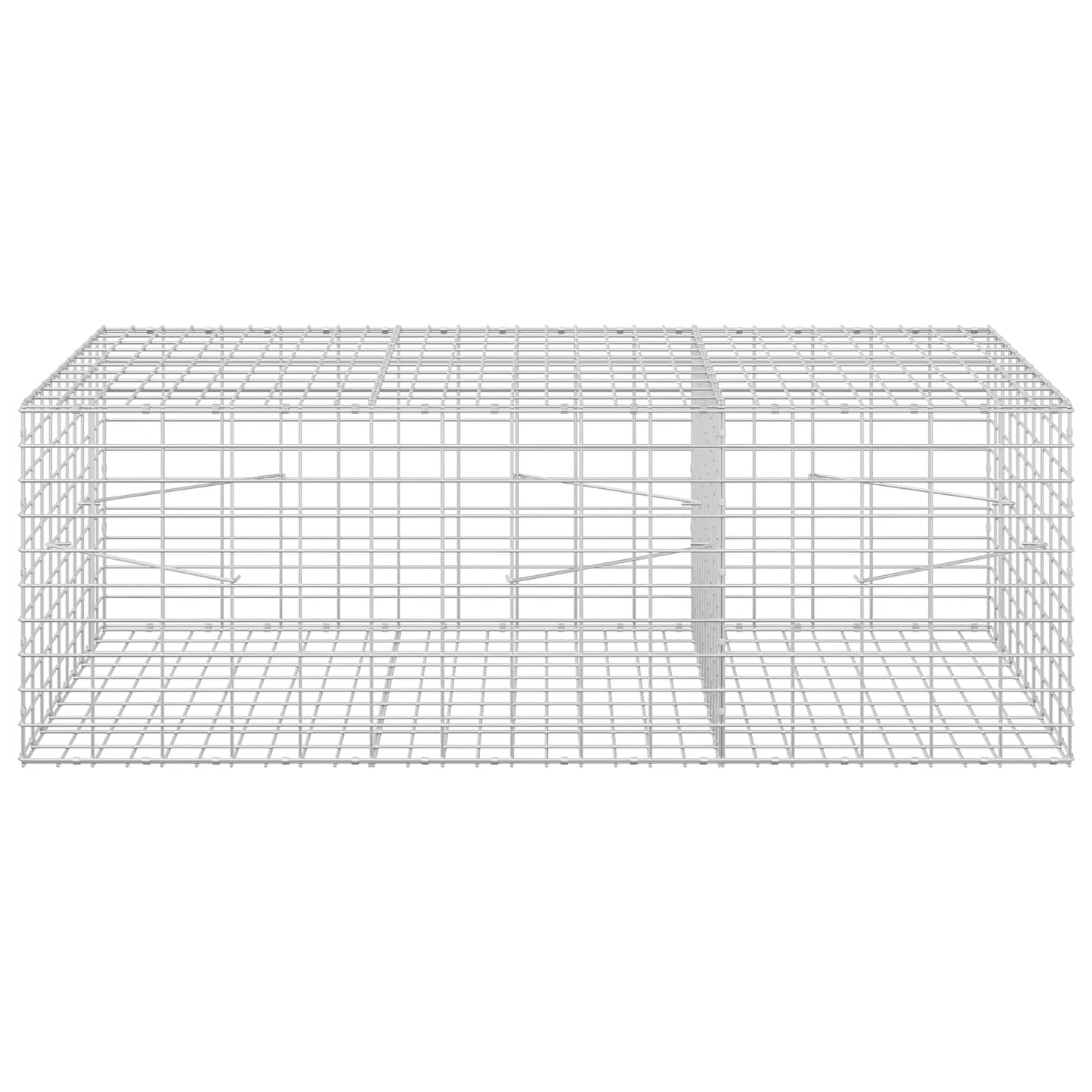 vidaXL Γκαμπιόν με σύρμα 5 mm και πλέγμα 5x10 cm 150x100x50 εκ