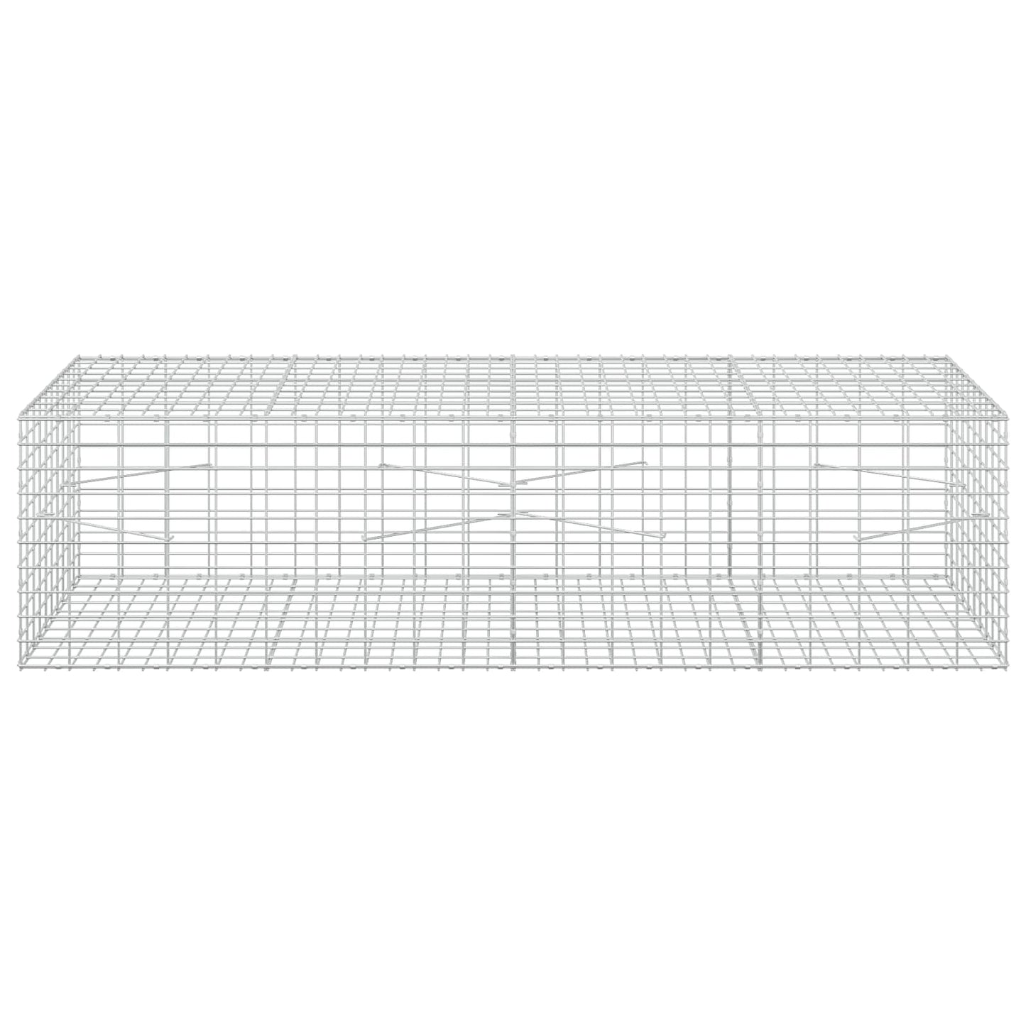 vidaXL Γκαμπιόν με σύρμα 5 mm και πλέγμα 5x10 cm 200x100x50 εκ