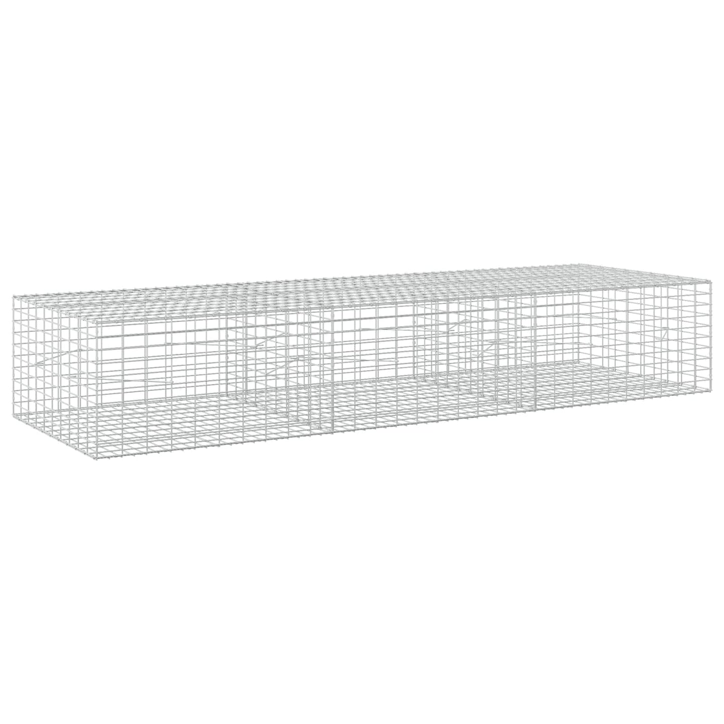 vidaXL Γκαμπιόν με σύρμα 5 mm και πλέγμα 5x10 cm 300x100x50 εκ