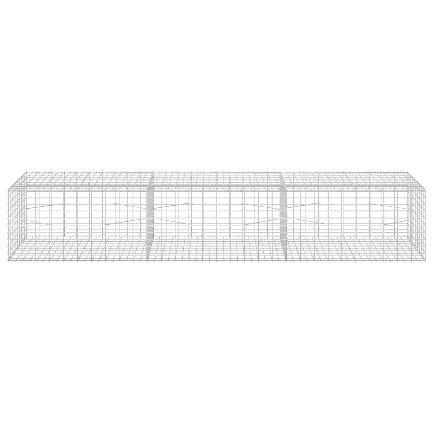 vidaXL Γκαμπιόν με σύρμα 5 mm και πλέγμα 5x10 cm 300x100x50 εκ