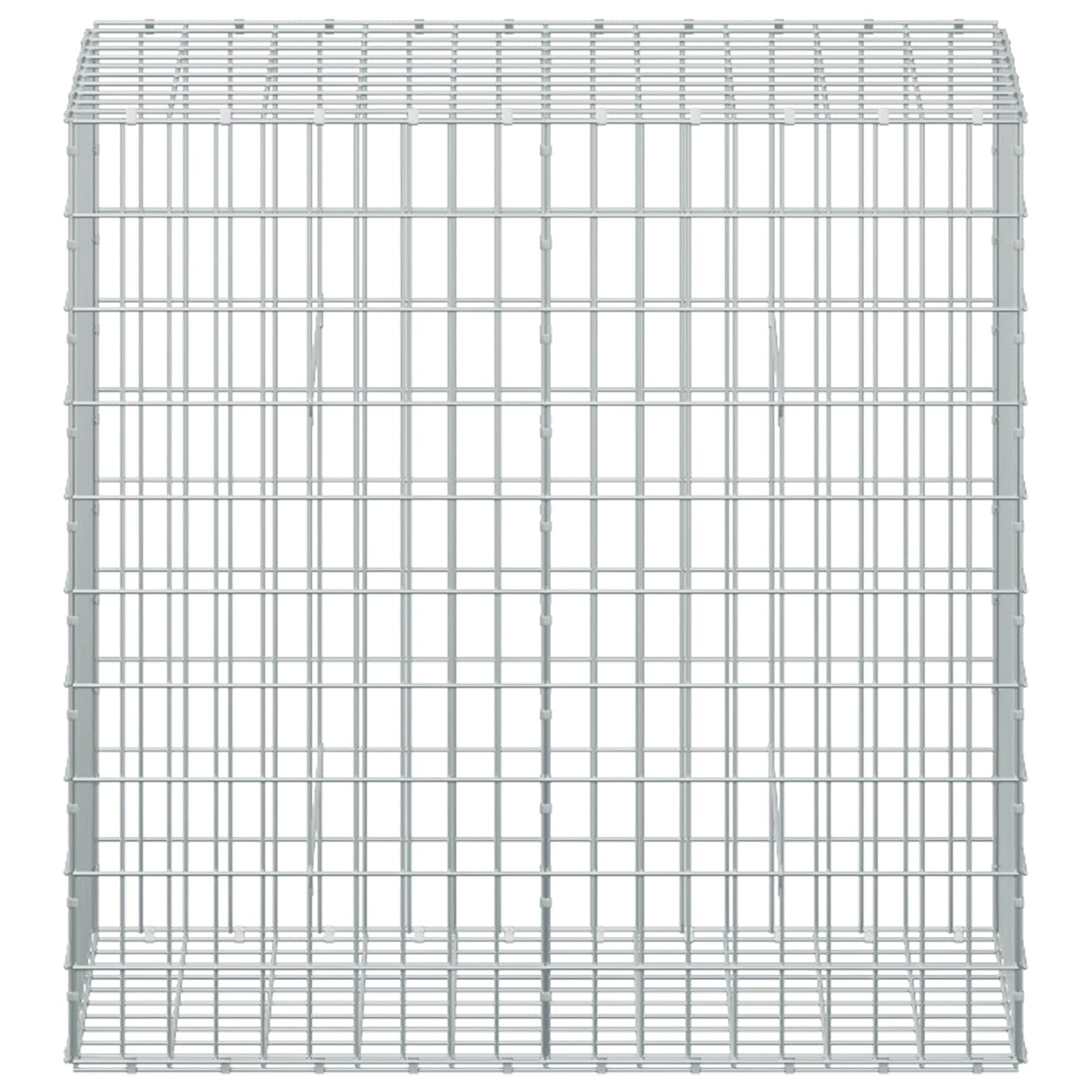 vidaXL Γκαμπιόν με σύρμα 5 mm και πλέγμα 5x10 cm 50x100x100 εκ