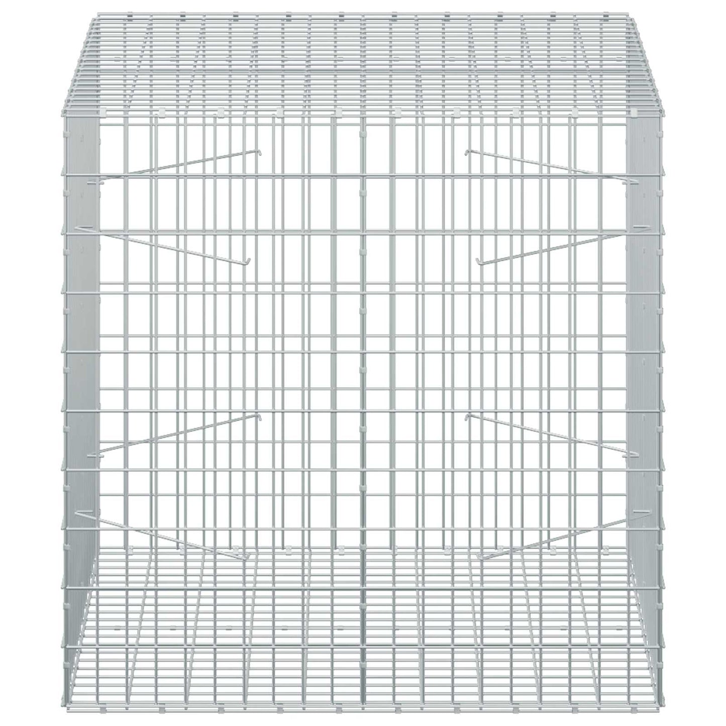 vidaXL Γκαμπιόν με σύρμα 5 mm και πλέγμα 5x10 cm 100x100x100 εκ.