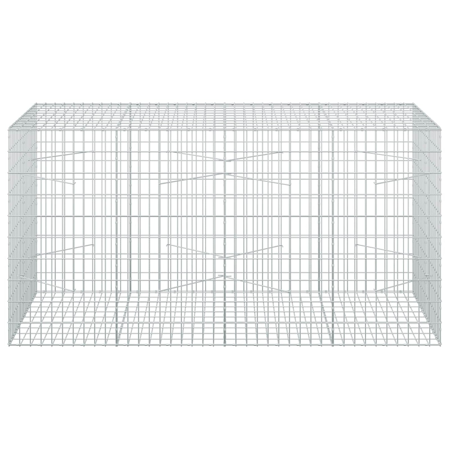 vidaXL Γκαμπιόν με σύρμα 5 mm και πλέγμα 5x10 cm 200x100x100 εκ.