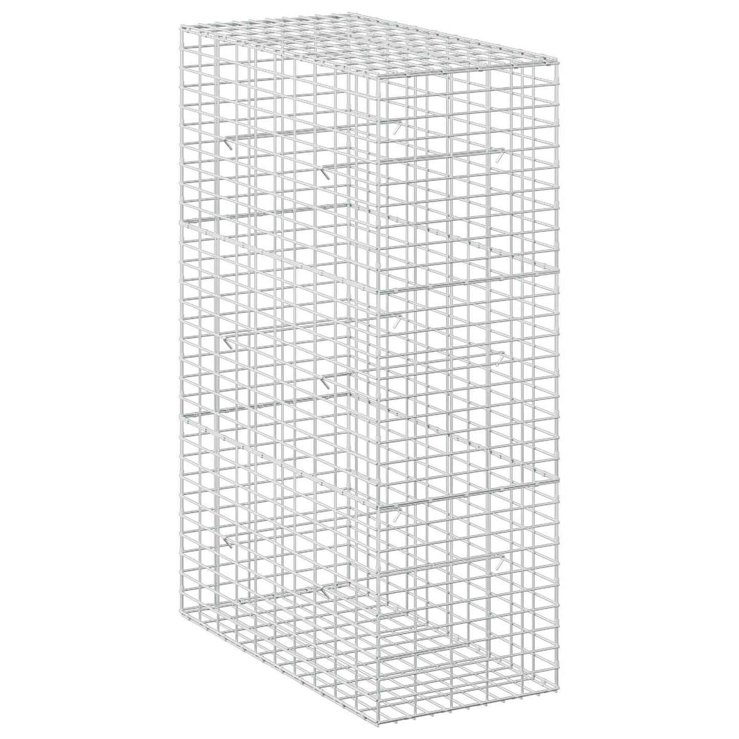 vidaXL Γκαμπιόν με σύρμα 5 mm και πλέγμα 5x10 cm 50x100x150 εκ.