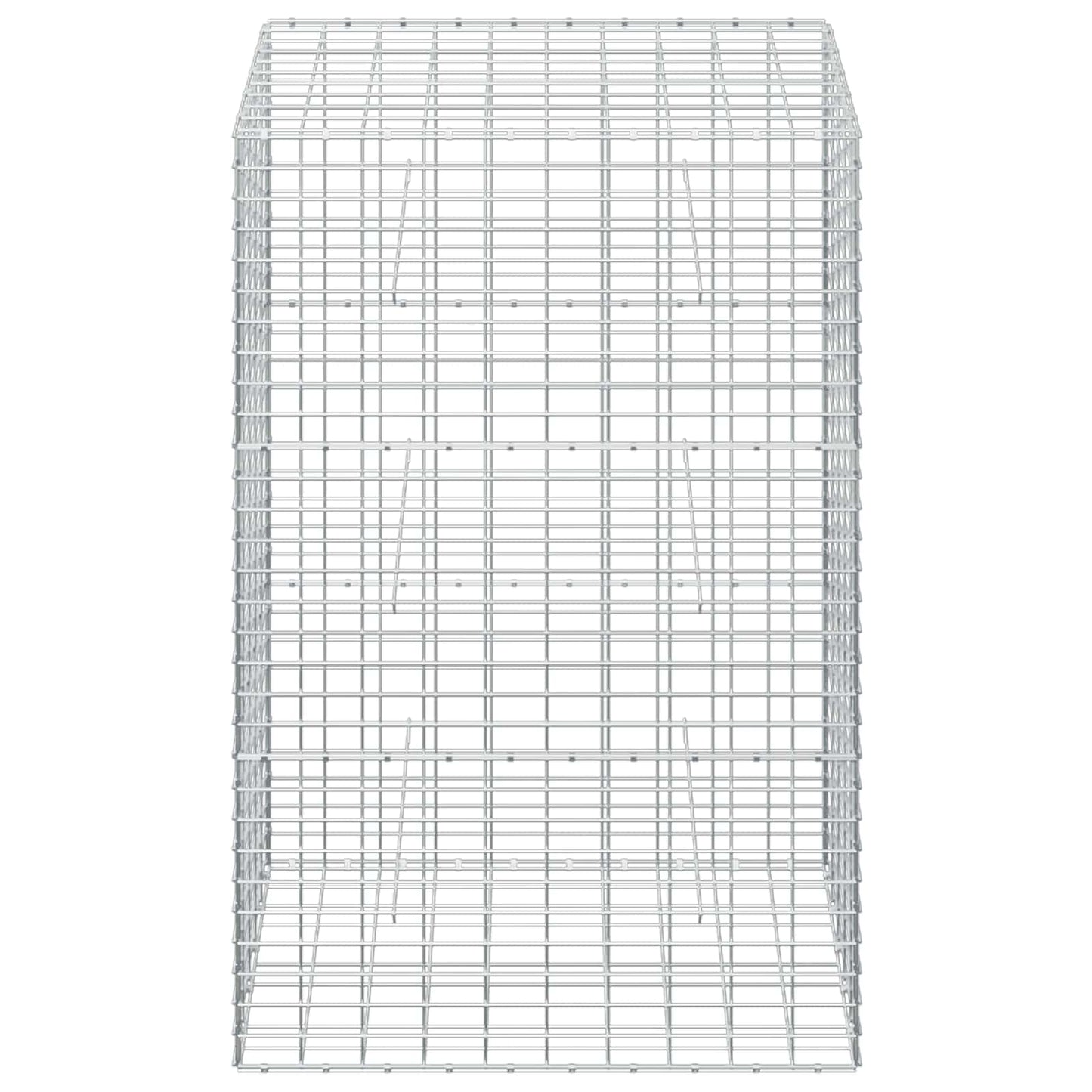 vidaXL Γκαμπιόν με σύρμα 5 mm και πλέγμα 5x10 cm 50x100x150 εκ.
