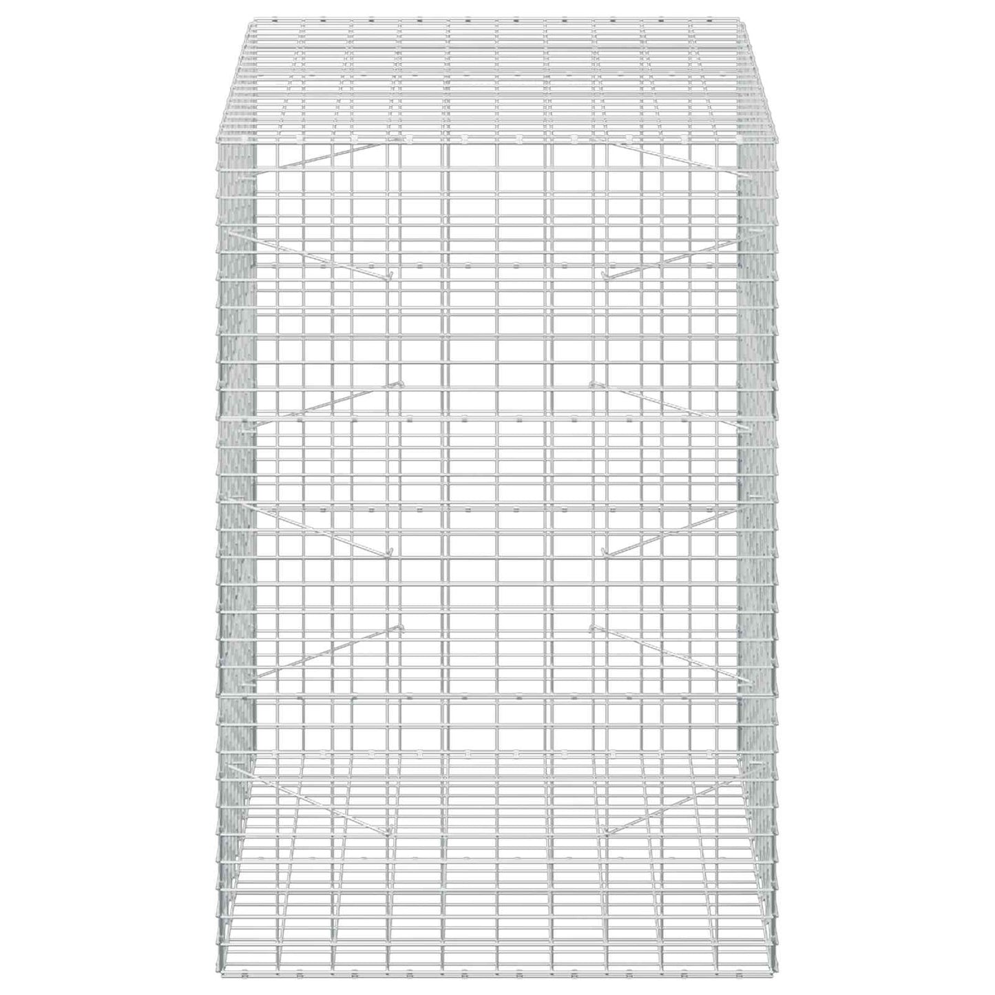 vidaXL Γκαμπιόν με σύρμα 5 mm και πλέγμα 5x10 cm 100x100x150 εκ